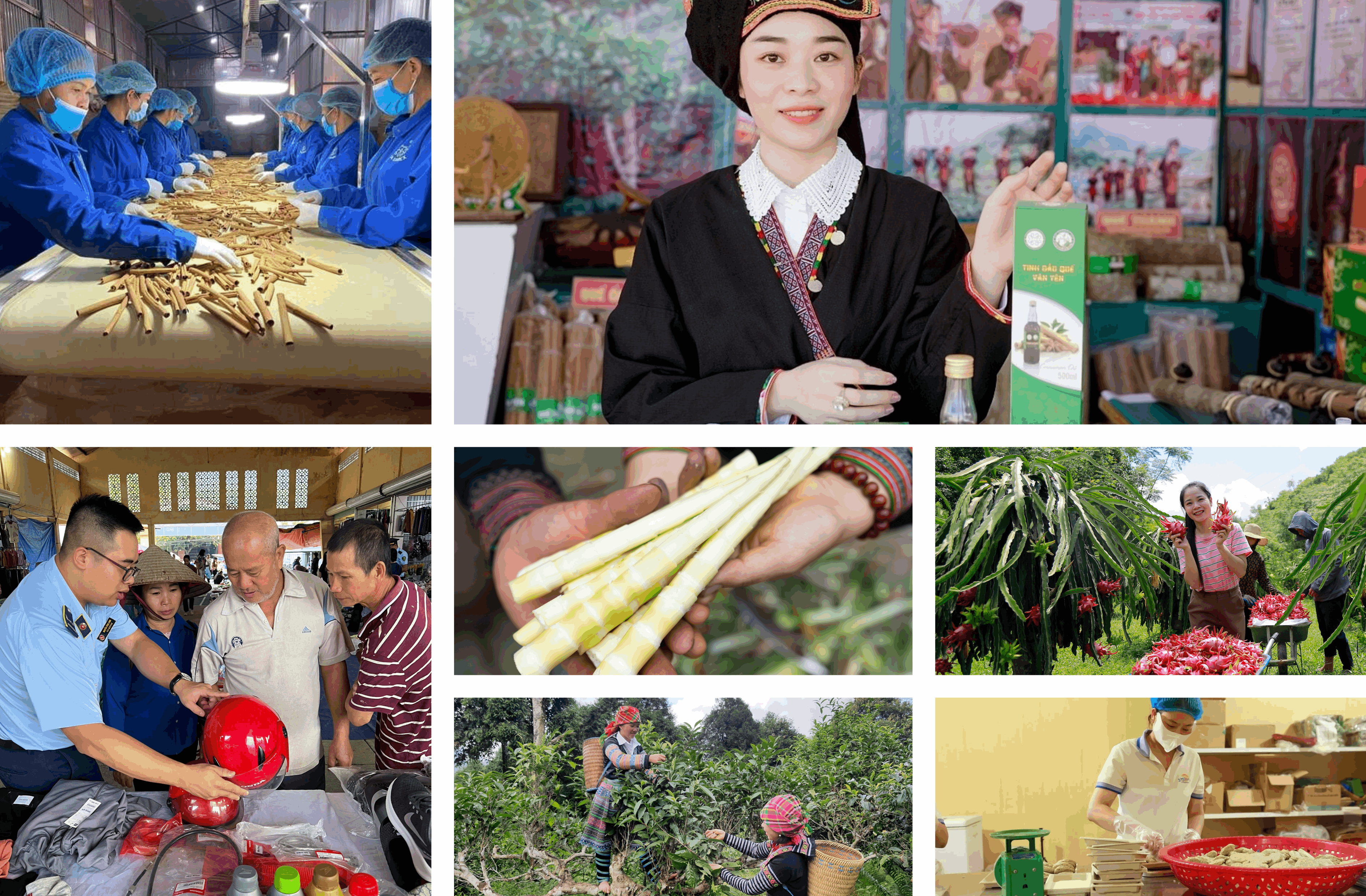 Thúc đẩy phát triển thị trường trong nước, đẩy mạnh tiêu dùng hàng Việt