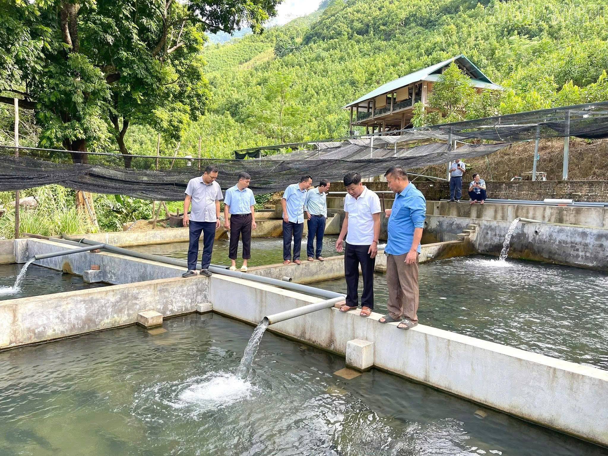 Triển khai Đề án giảm nghèo đa chiều và bảo đảm an sinh xã hội giai đoạn 2026 - 2030