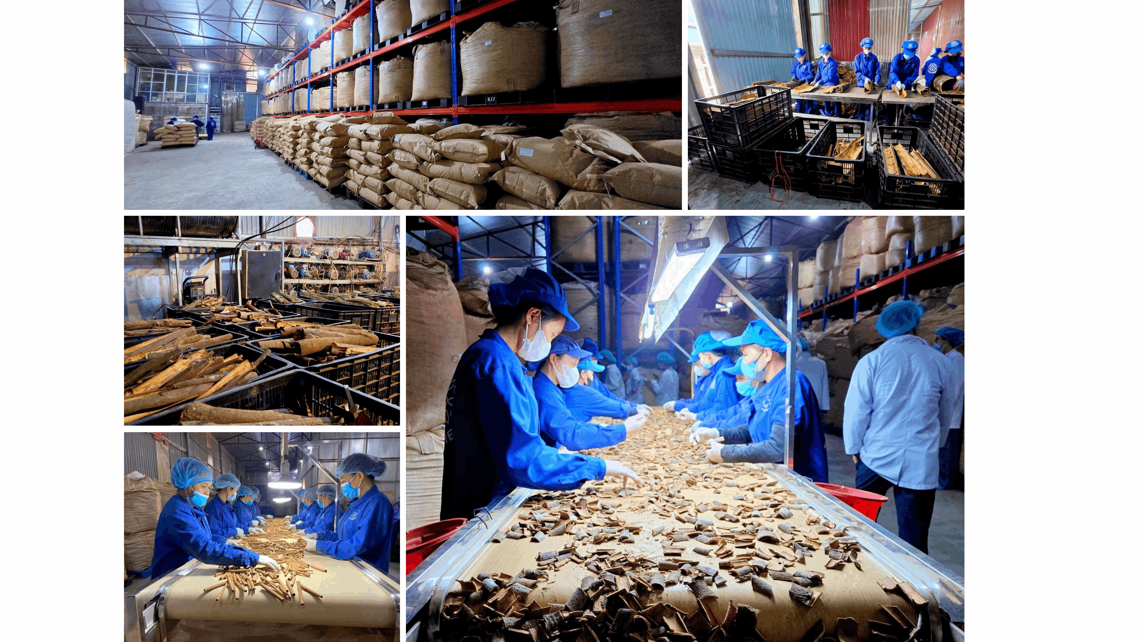 3 doanh nghiệp tỉnh Lào Cai được hỗ trợ thúc đẩy khoa học công nghệ, đổi mới sáng tạo và chuyển đổi số năm 2026