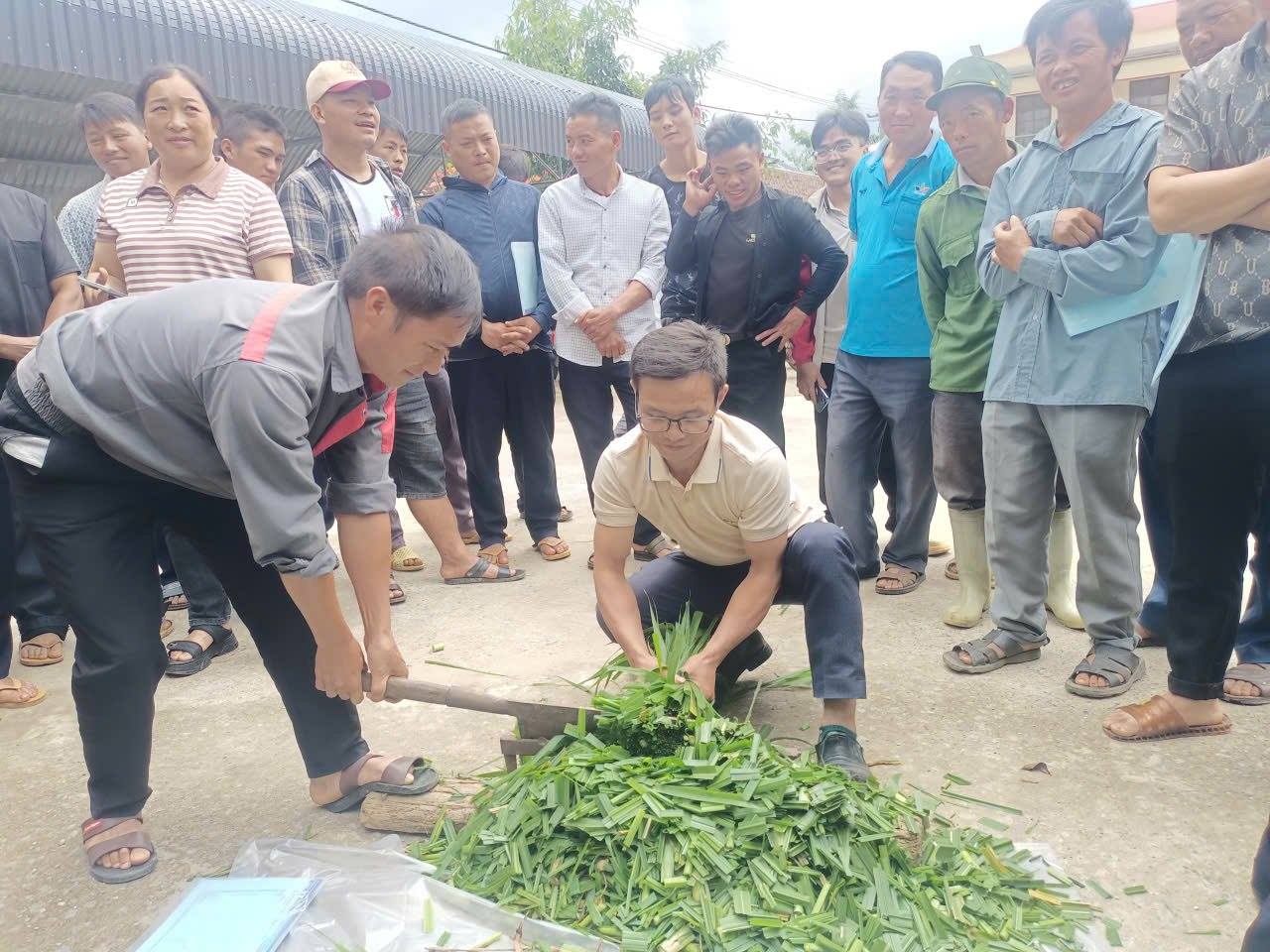 Tập huấn kỹ thuật phát triển sinh kế cho đồng bào dân tộc thiểu số tại 5 xã của tỉnh Lào Cai