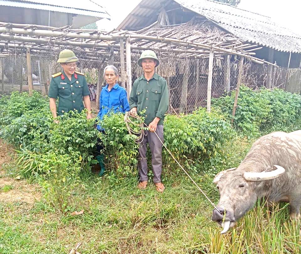 Hội Cựu chiến binh xã Chấn Thịnh phát huy vai trò nòng cốt trong xây dựng Đảng và phát triển kinh tế - xã hội