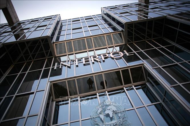 Interpol truy quét đường dây buôn bán dược phẩm bất hợp pháp tại khoảng 90 quốc gia