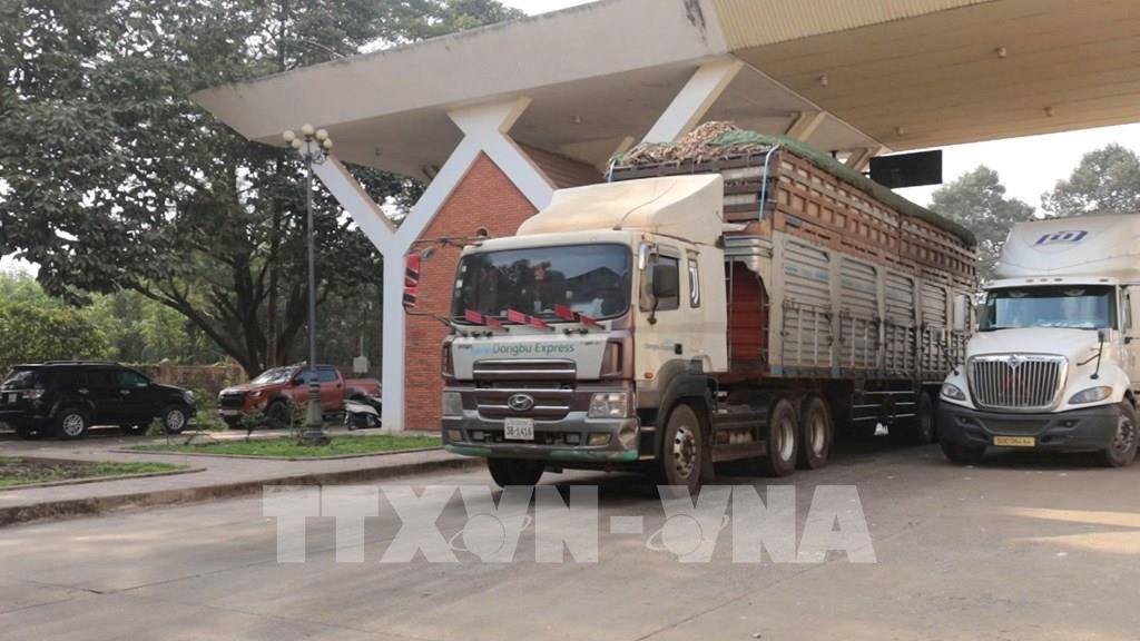 Tạm ngưng áp dụng Nghị định 46: Giải pháp cấp bách gỡ ách tắc thông quan