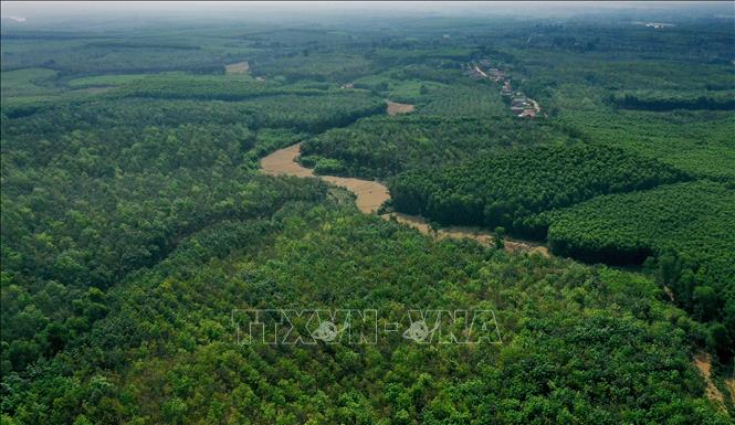 Đơn giản hóa thủ tục về giảm nhẹ phát thải khí nhà kính và bảo vệ tầng ozon
