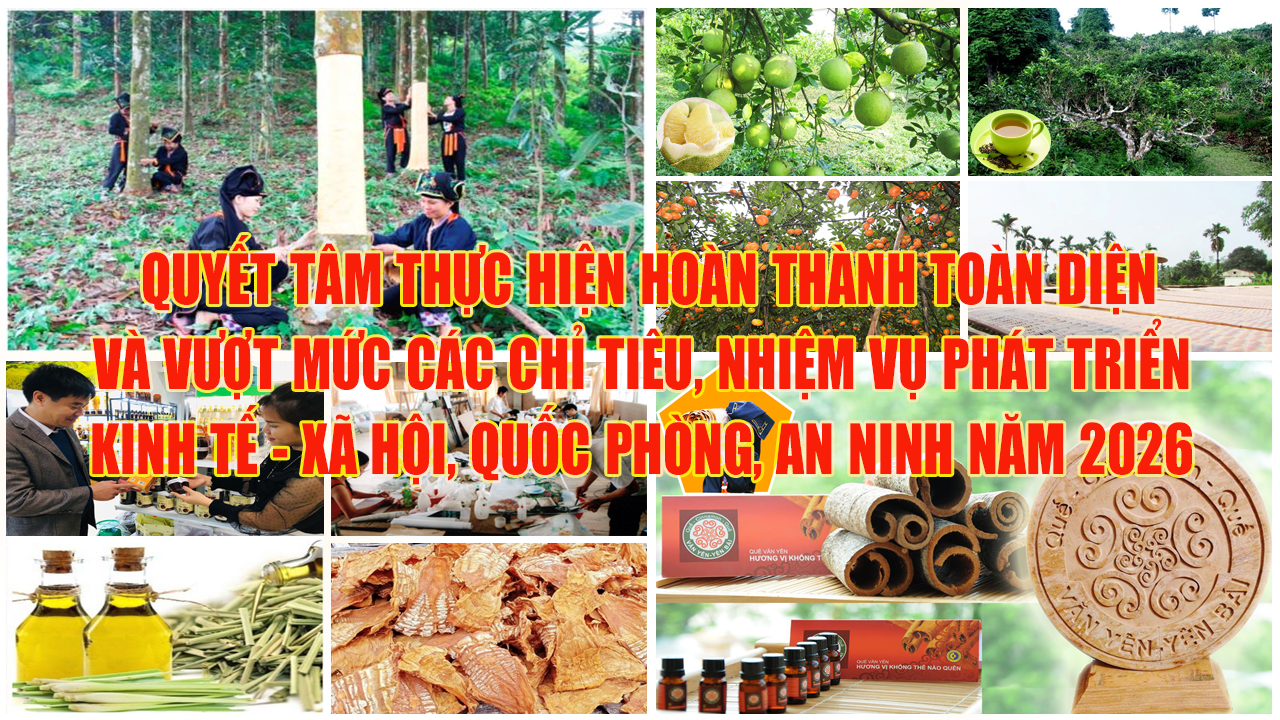 Chủ tịch UBND tỉnh Lào Cai phát động Phong trào thi đua yêu nước năm 2026