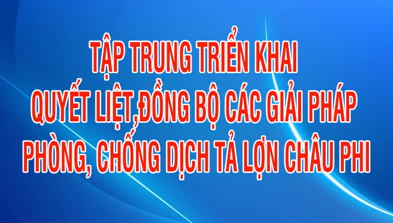 UBND tỉnh yêu cầu tiếp tục tập trung triển khai quyết liệt, đồng bộ các giải pháp phòng, chống bệnh dịch tả lợn Châu Phi