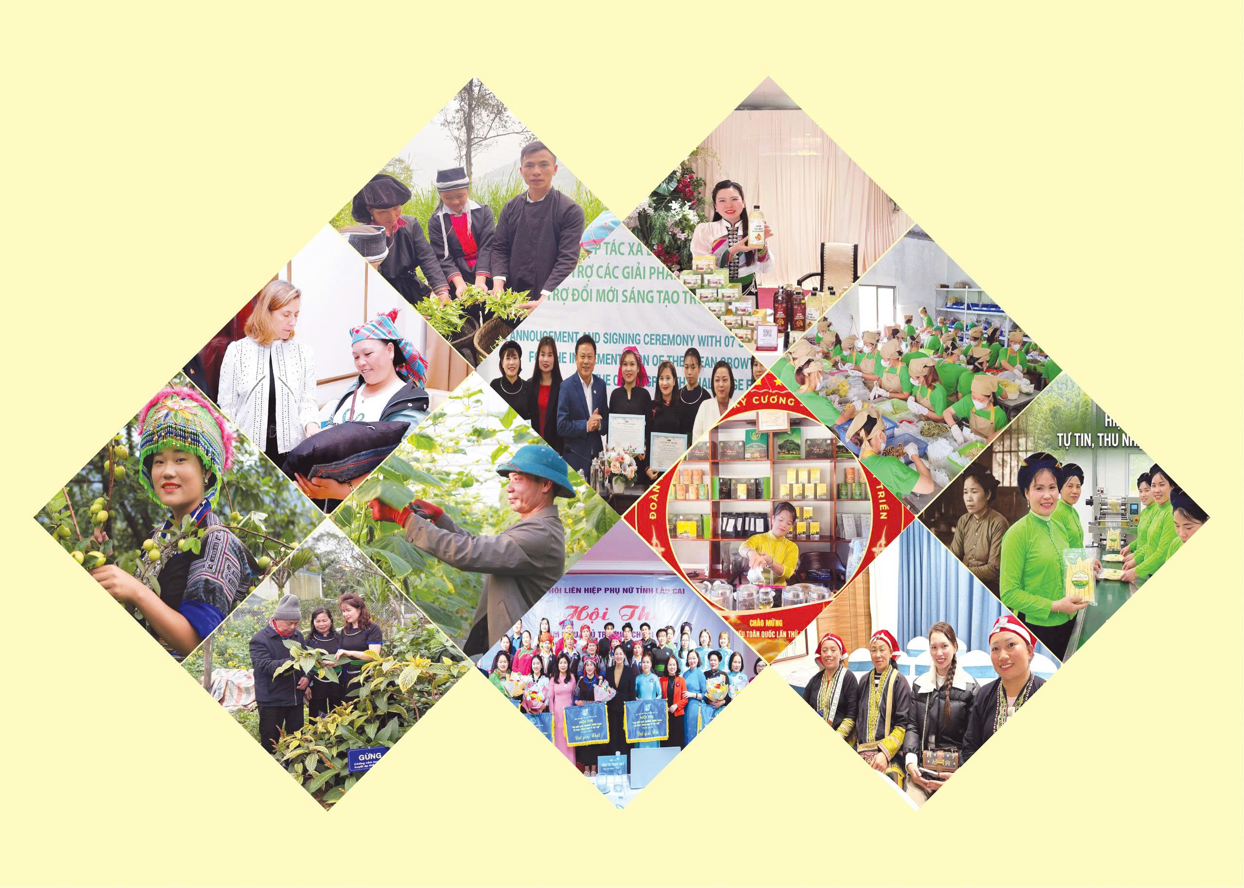 Lào Cai: Sáng mãi tư tưởng Hồ Chí Minh trong phát triển kinh tế hợp tác (Kỷ niệm 136 năm ngày sinh Chủ tịch Hồ Chí Minh)
