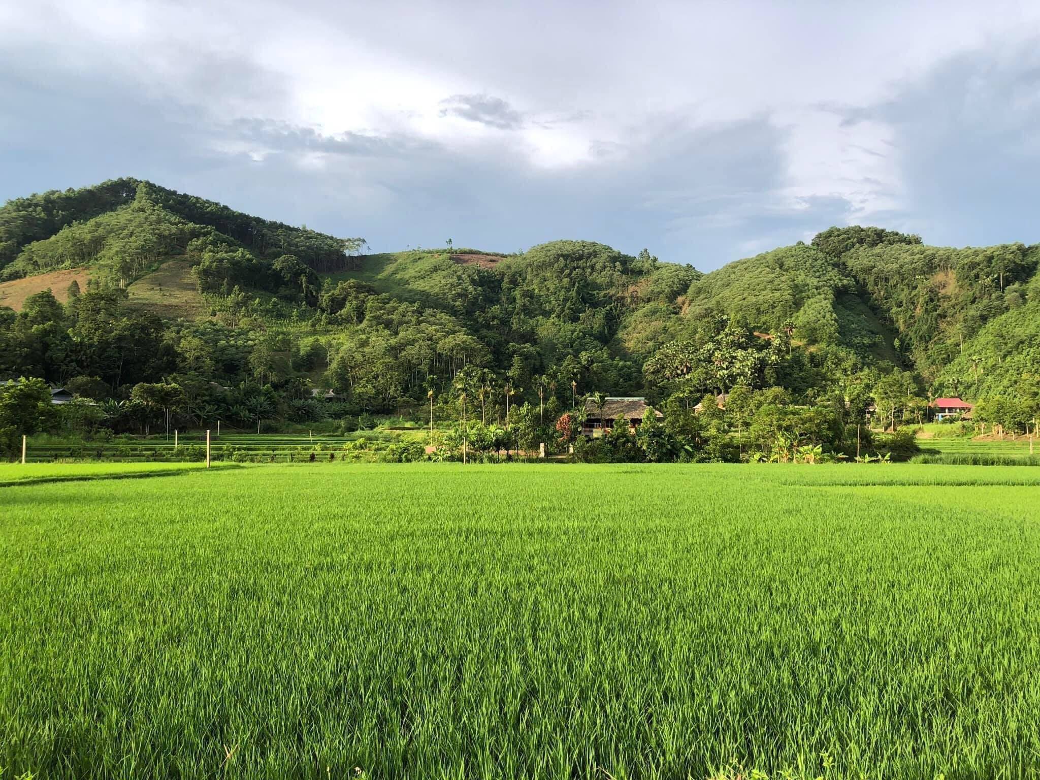 Phê duyệt chủ trương đầu tư các Chương trình mục tiêu quốc gia giai đoạn 2026 - 2035