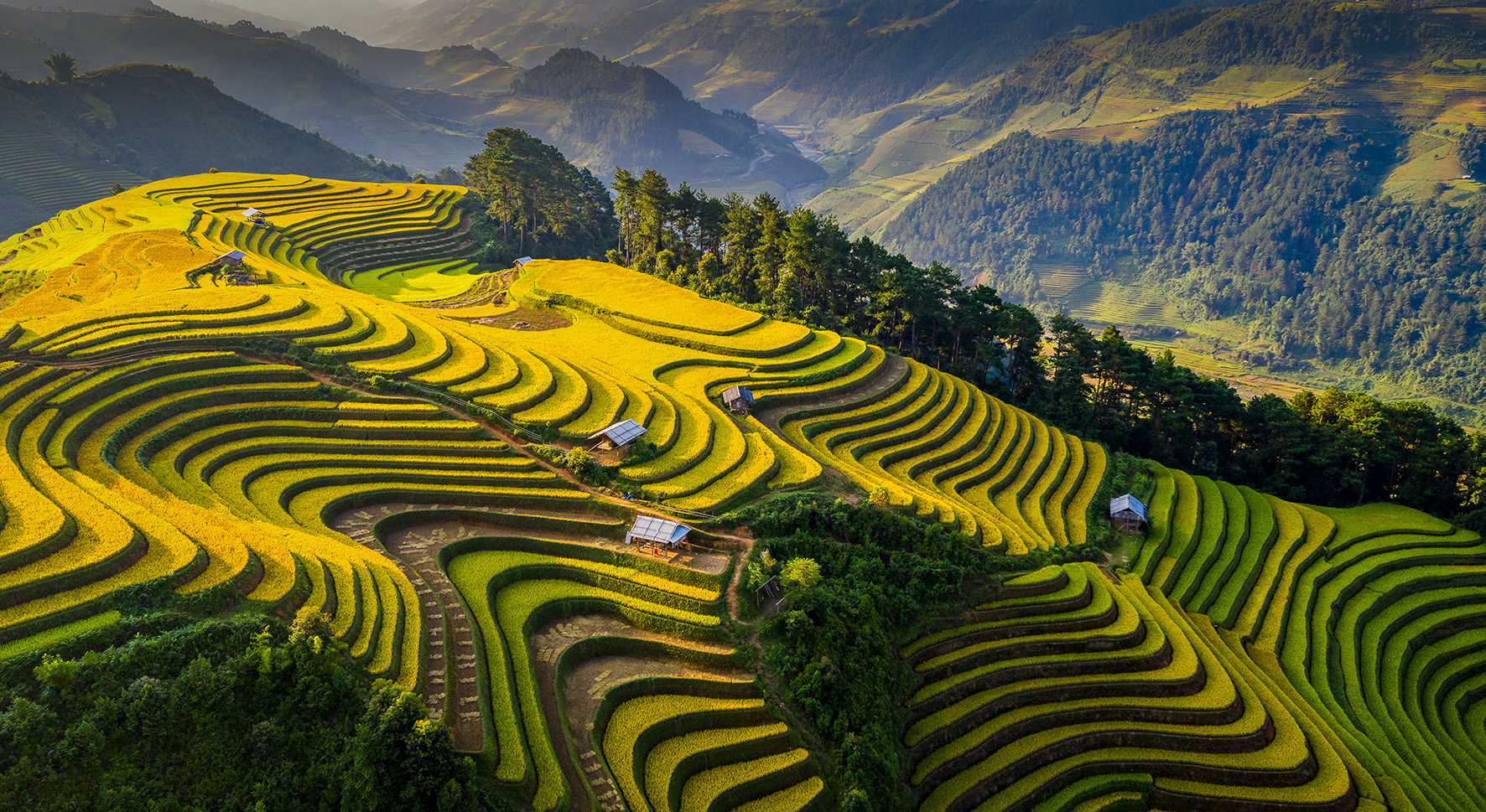 Phân bổ vốn ngân sách tại địa phương để xây dựng nông thôn mới và giảm nghèo bền vững giai đoạn 2026-2030