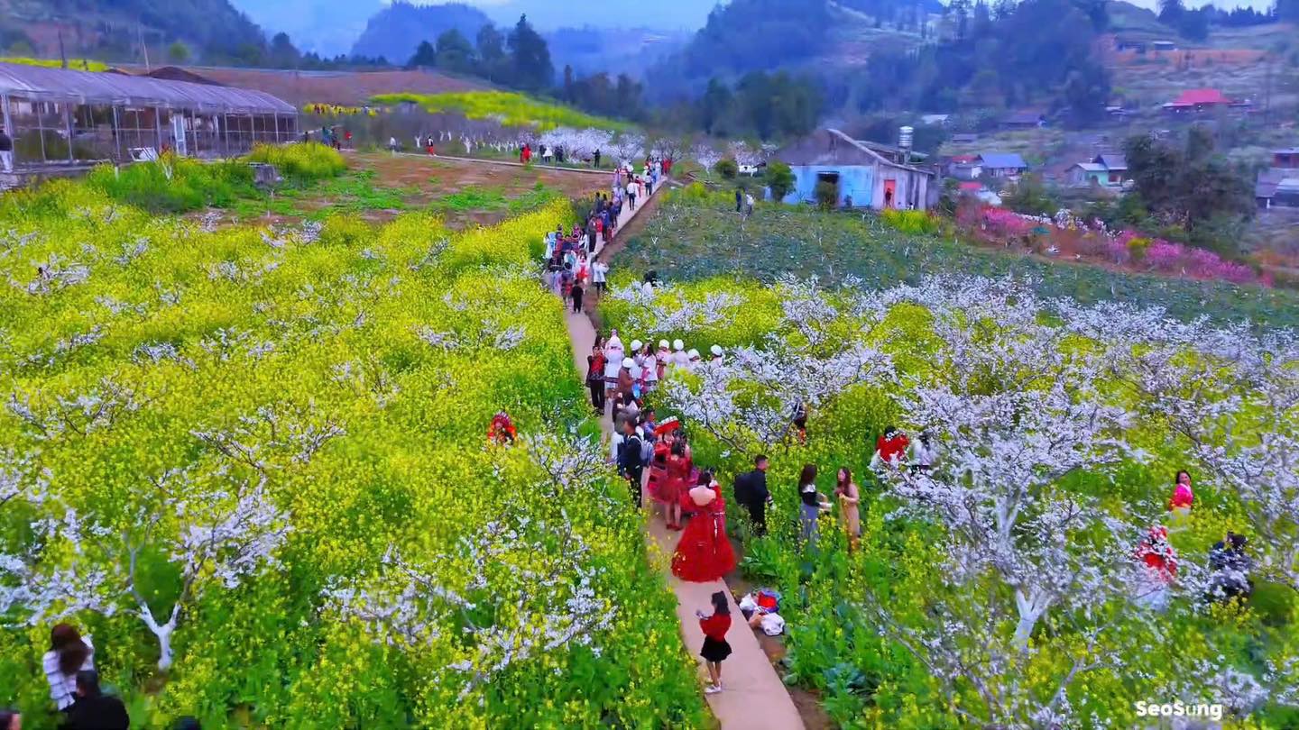 “Cao nguyên trắng” Bắc Hà - điểm đến du lịch đặc sắc của Lào Cai và vùng Tây Bắc