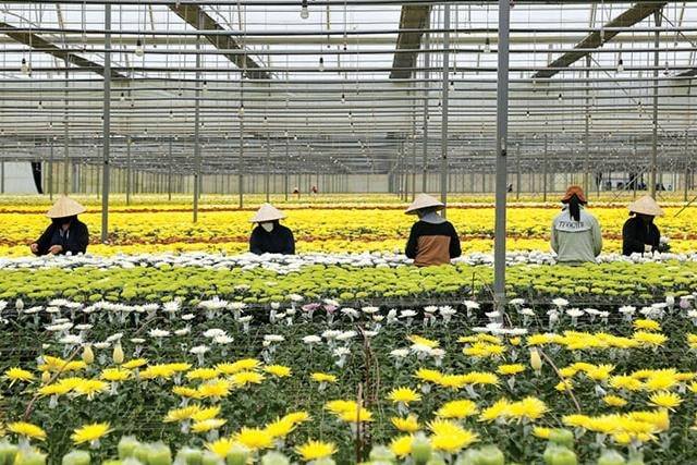 Lan tỏa thành quả tăng trưởng tới nông thôn, nông dân