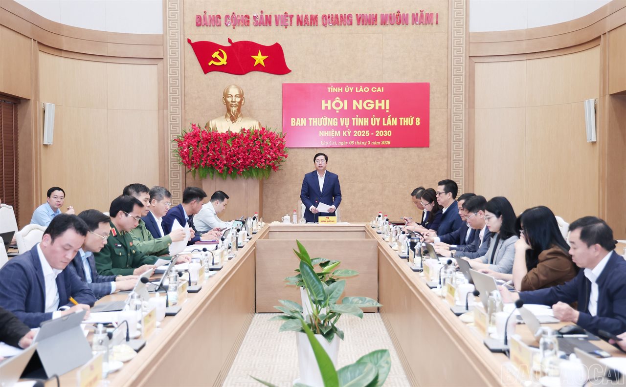 Ban Thường vụ Tỉnh ủy xem xét, quyết định một số nội dung theo thẩm quyền