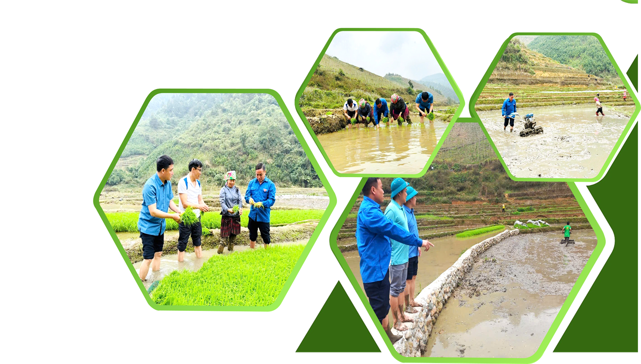 Nông nghiệp Lào Cai duy trì đà tăng trưởng ổn định trong 2 tháng đầu năm 2026
