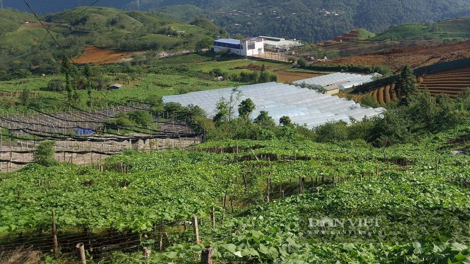 Điểm tin về Lào Cai ngày 26/05/2026