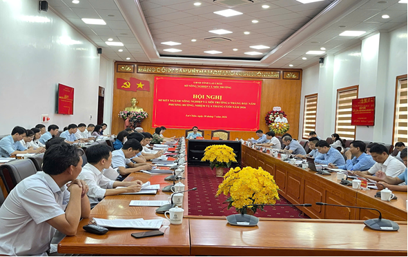 Lai Châu: Tập trung phát triển lâm nghiệp bền vững, tạo động lực tăng trưởng xanh