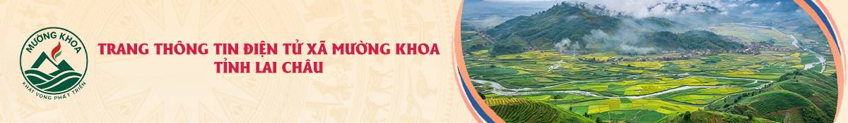 image banner