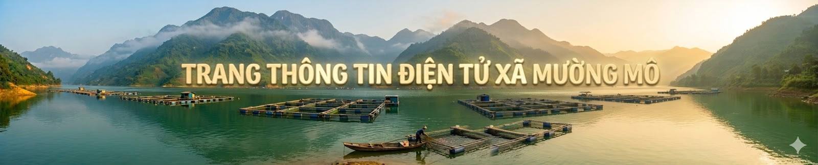 image banner