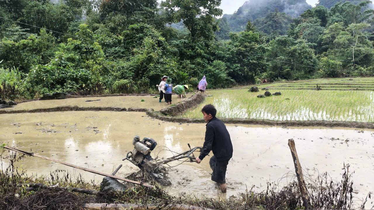 Nhân dân xã Tủa Sín Chải hân hoan trước mùa vụ mới