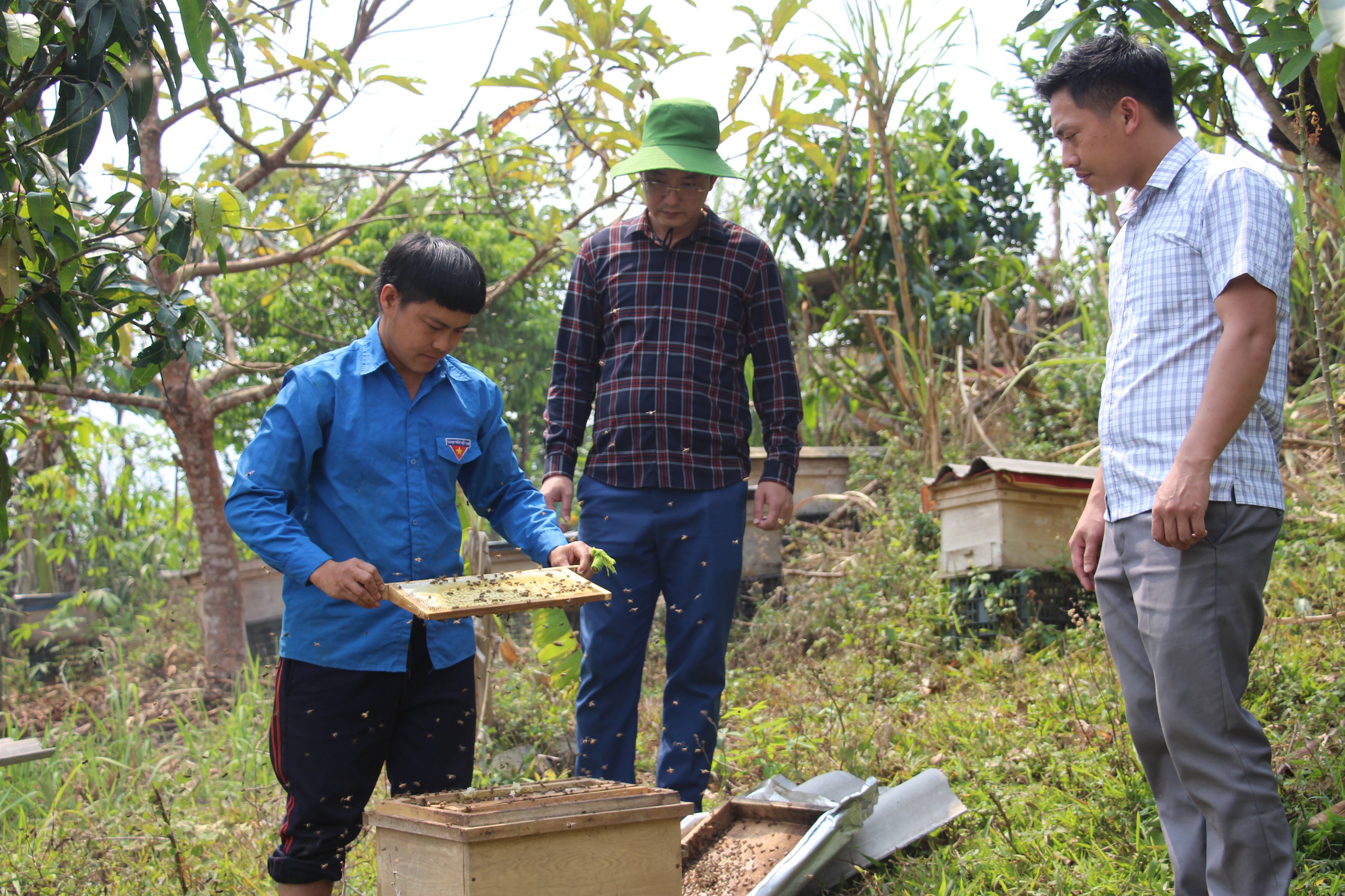 Đồng chí Phó Bí thư Thường trực Đảng ủy kiểm tra thực tế tình hình phát triển kinh tế trên địa bàn xã