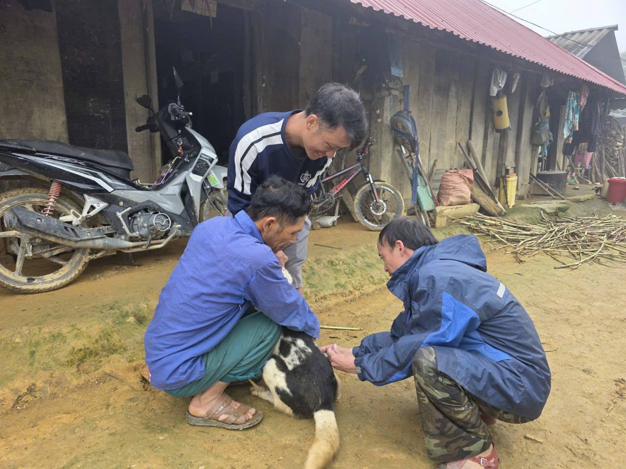 Tủa Sín Chải triển khai thực hiện tiêm phòng