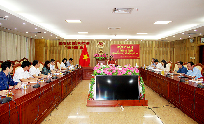 Đoàn Đại biểu Quốc hội tỉnh lấy ý kiến Dự án Luật Khám bệnh, chữa bệnh (sửa đổi)