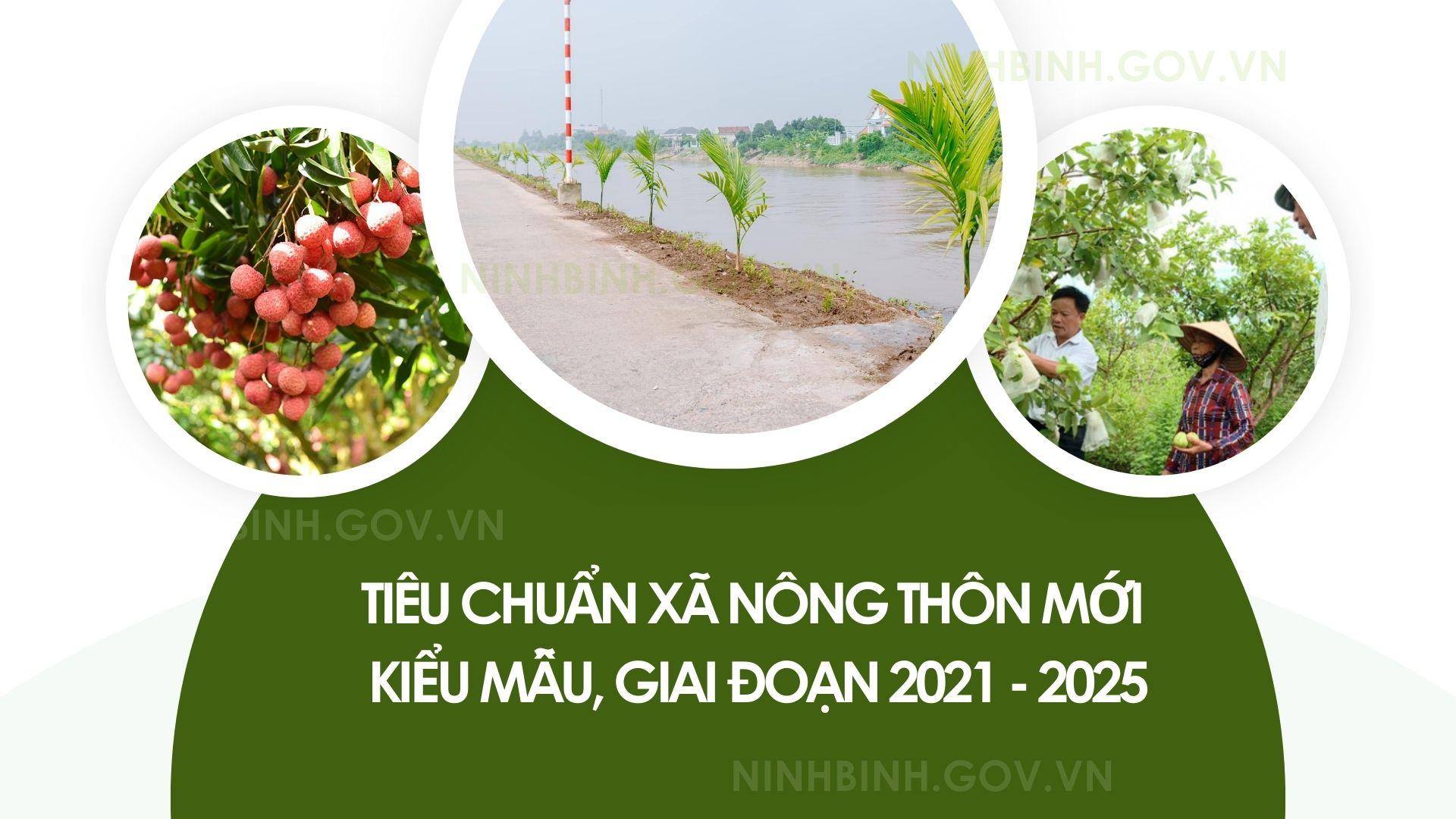Tiêu chuẩn xã Nông thôn mới kiểu mẫu, giai đoạn 2021-2025