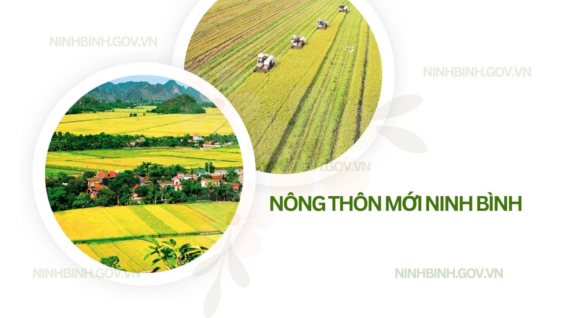 Nhiệm vụ của các bộ, ngành, địa phương trong việc xây dựng xã nông thôn mới kiểu mẫu giai đoạn 2021 - 2025