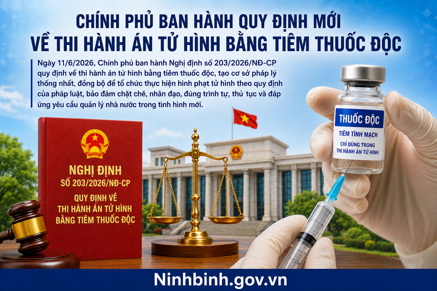 Chính phủ ban hành quy định mới về thi hành án tử hình bằng tiêm thuốc độc