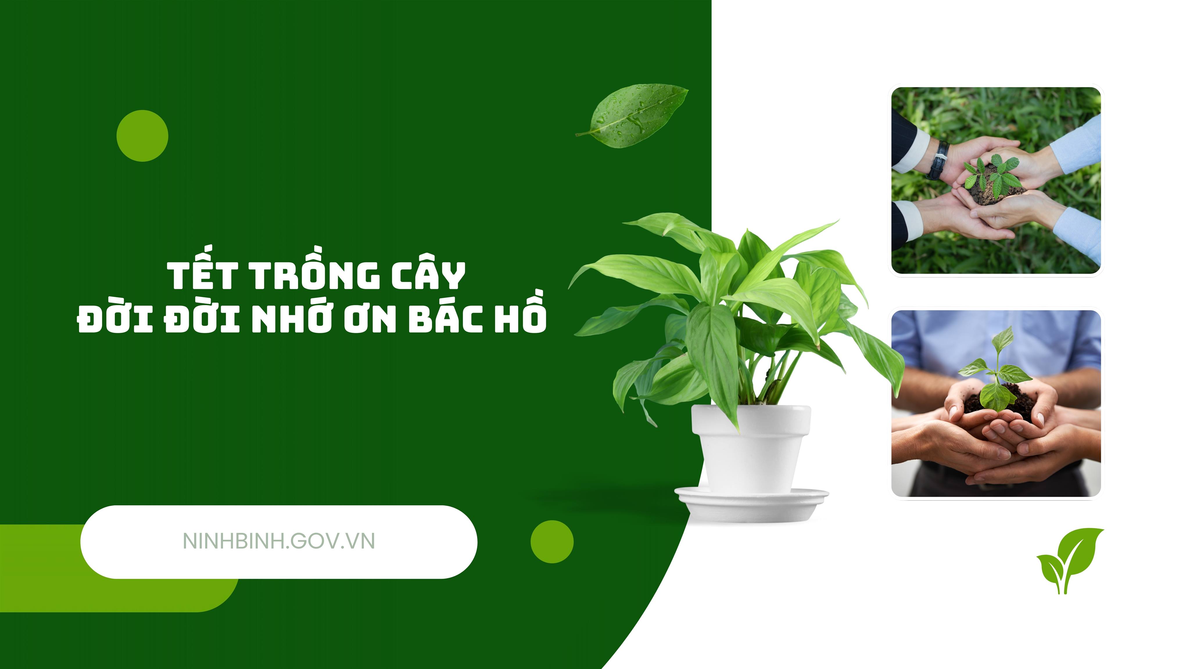 Bình Lục ban hành Kế hoạch tổ chức Lễ phát động “Tết trồng cây đời đời nhớ ơn Bác Hồ” Xuân Bính Ngọ 2026