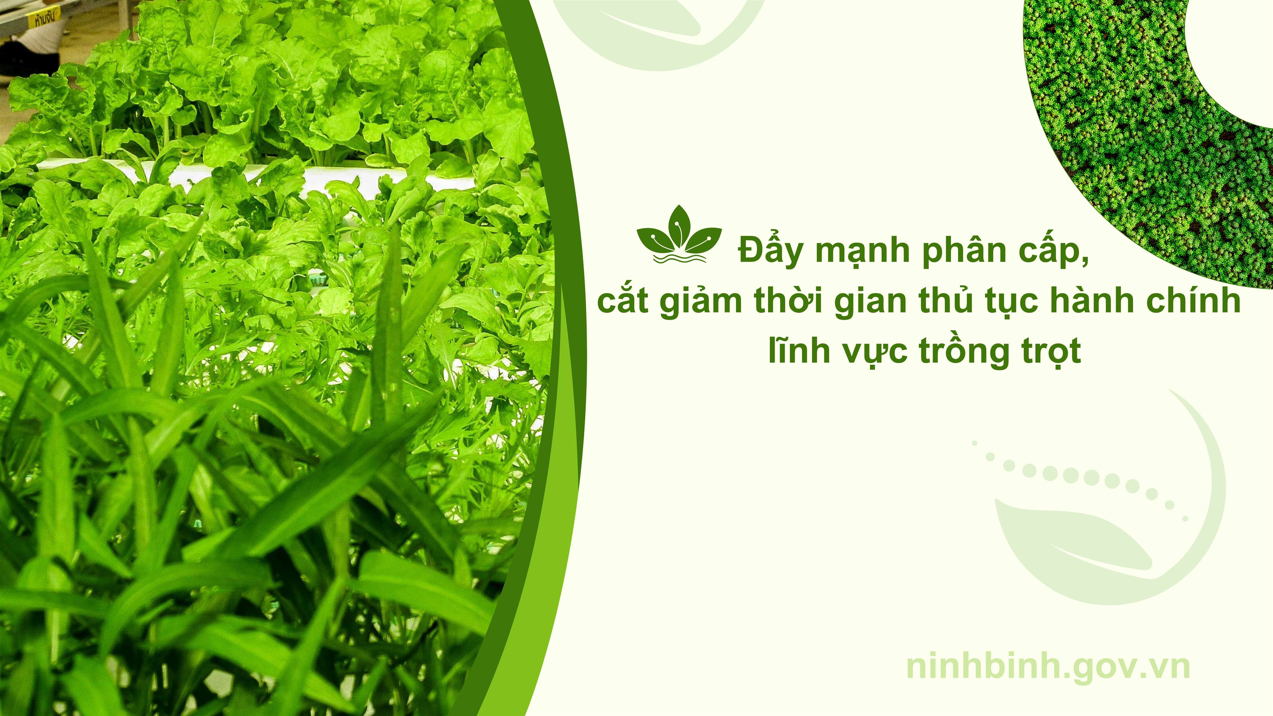 Ninh Bình triển khai Nghị định 33/2026/NĐ-CP: Đẩy mạnh phân cấp, cắt giảm thời gian thủ tục hành chính lĩnh vực trồng trọt