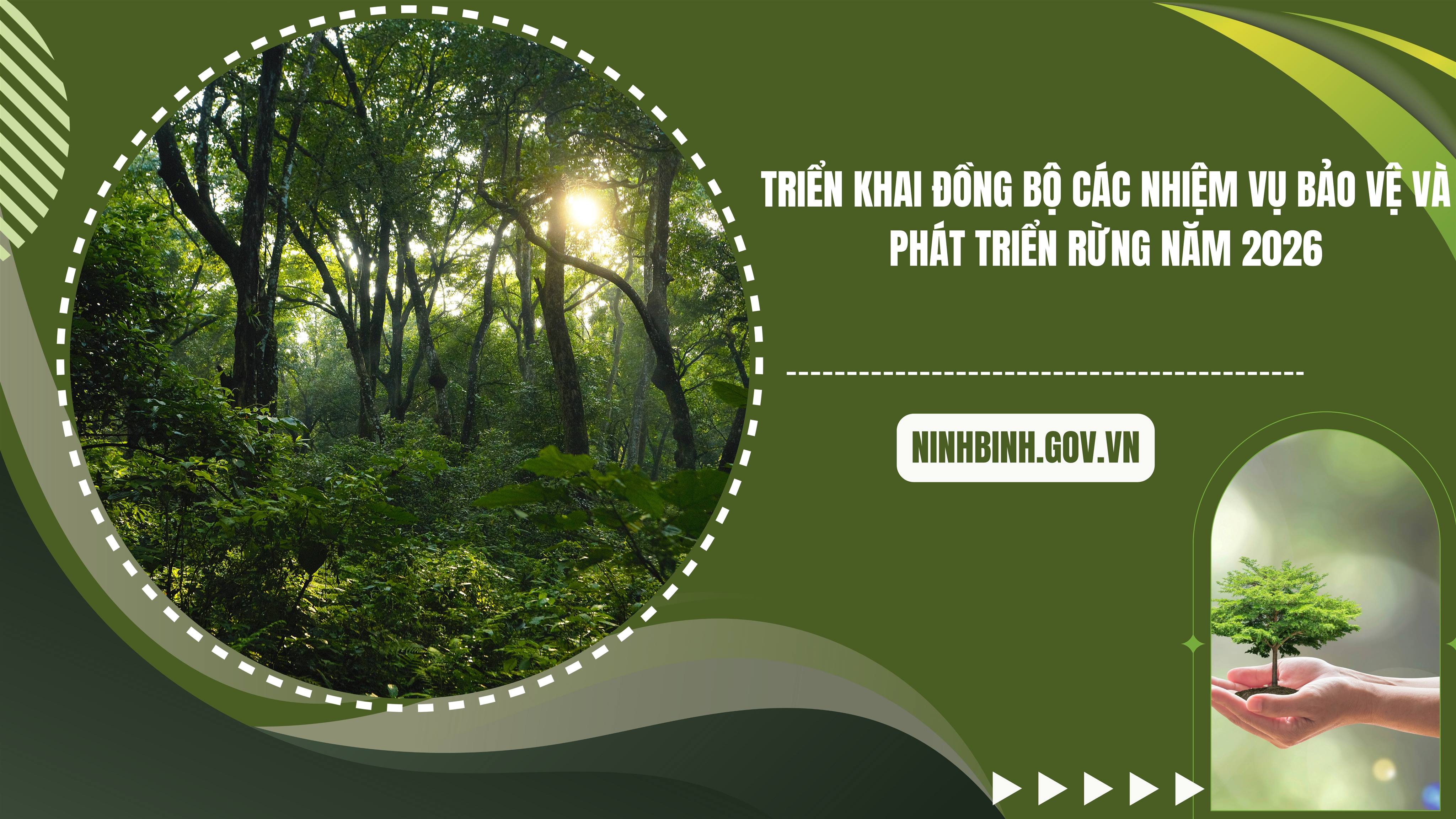 Triển khai đồng bộ các nhiệm vụ bảo vệ và phát triển rừng năm 2026