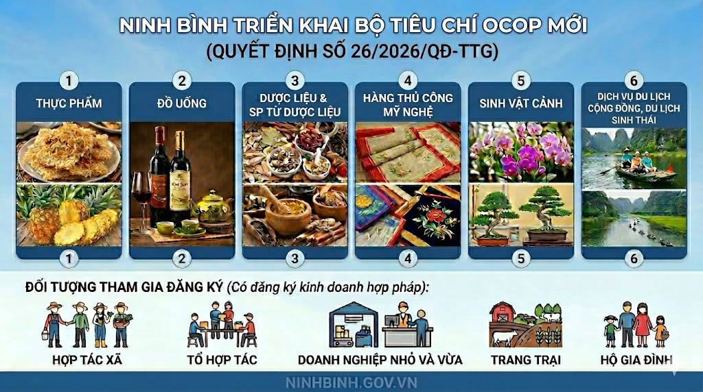 Triển khai bộ tiêu chí và quy trình đánh giá, phân hạng sản phẩm ocop theo quyết định của thủ tướng chính phủ