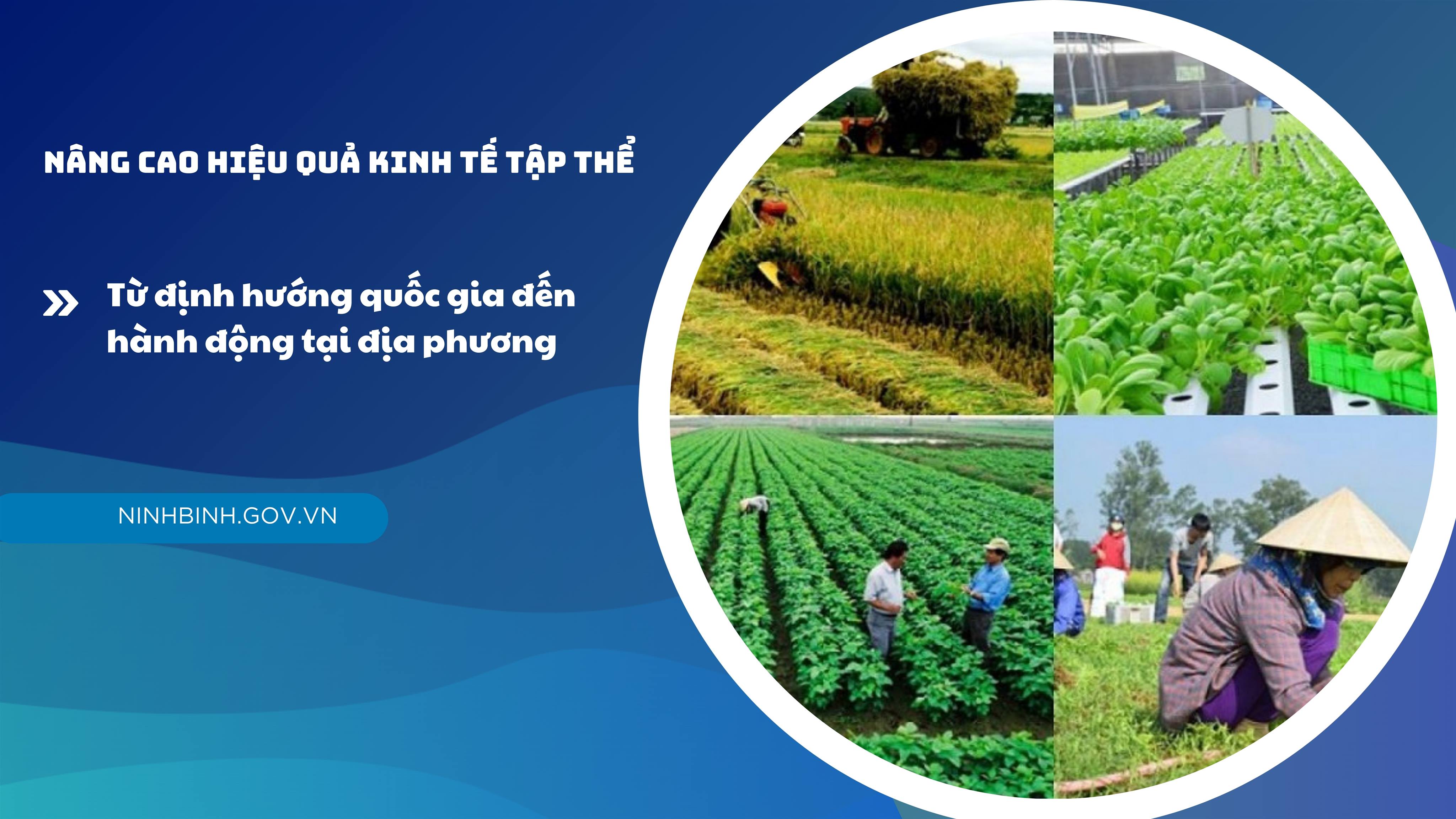 Nâng cao hiệu quả kinh tế tập thể: Từ định hướng quốc gia đến hành động tại địa phương