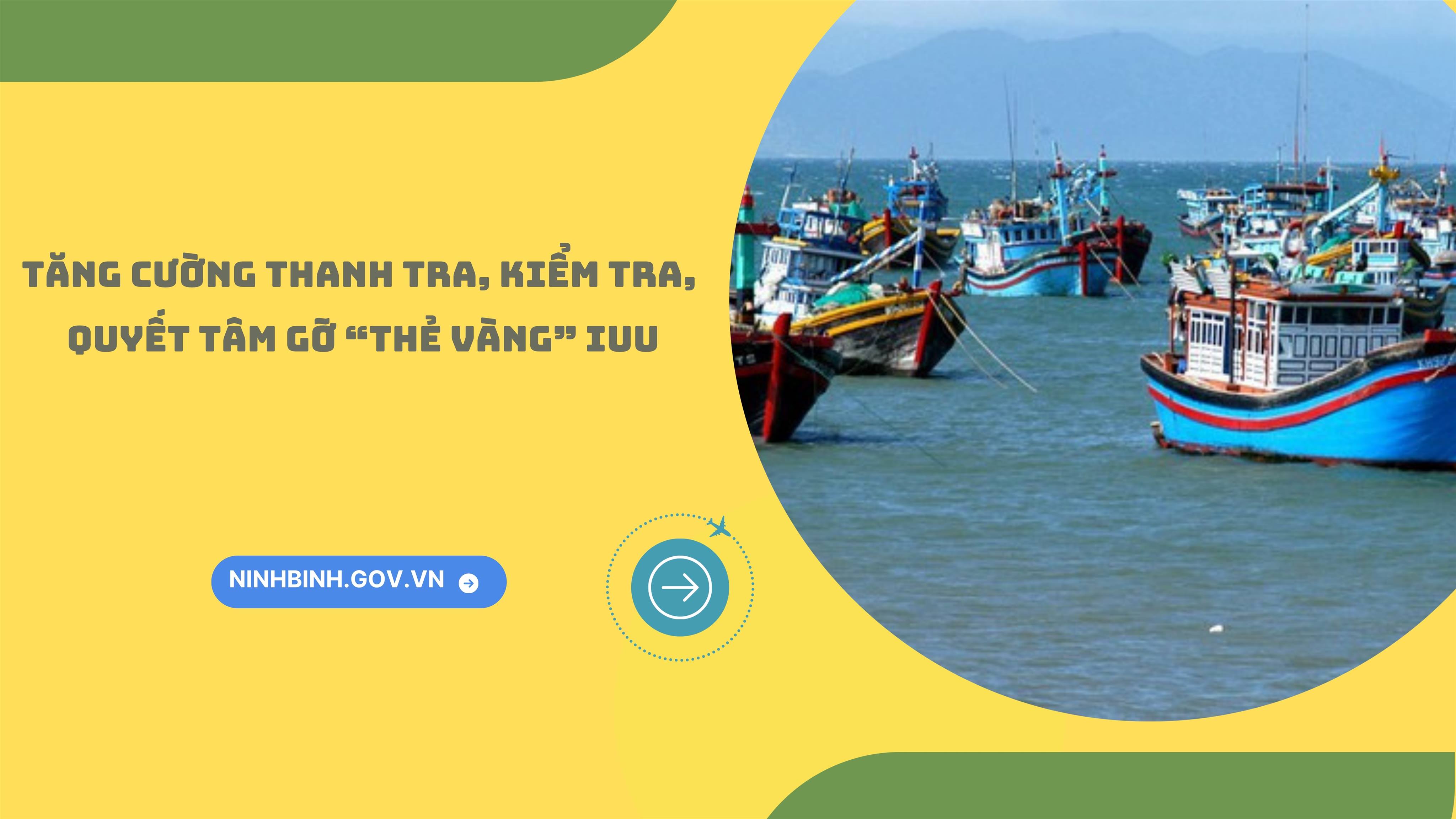 Tăng cường thanh tra, kiểm tra, quyết tâm gỡ “thẻ vàng” IUU