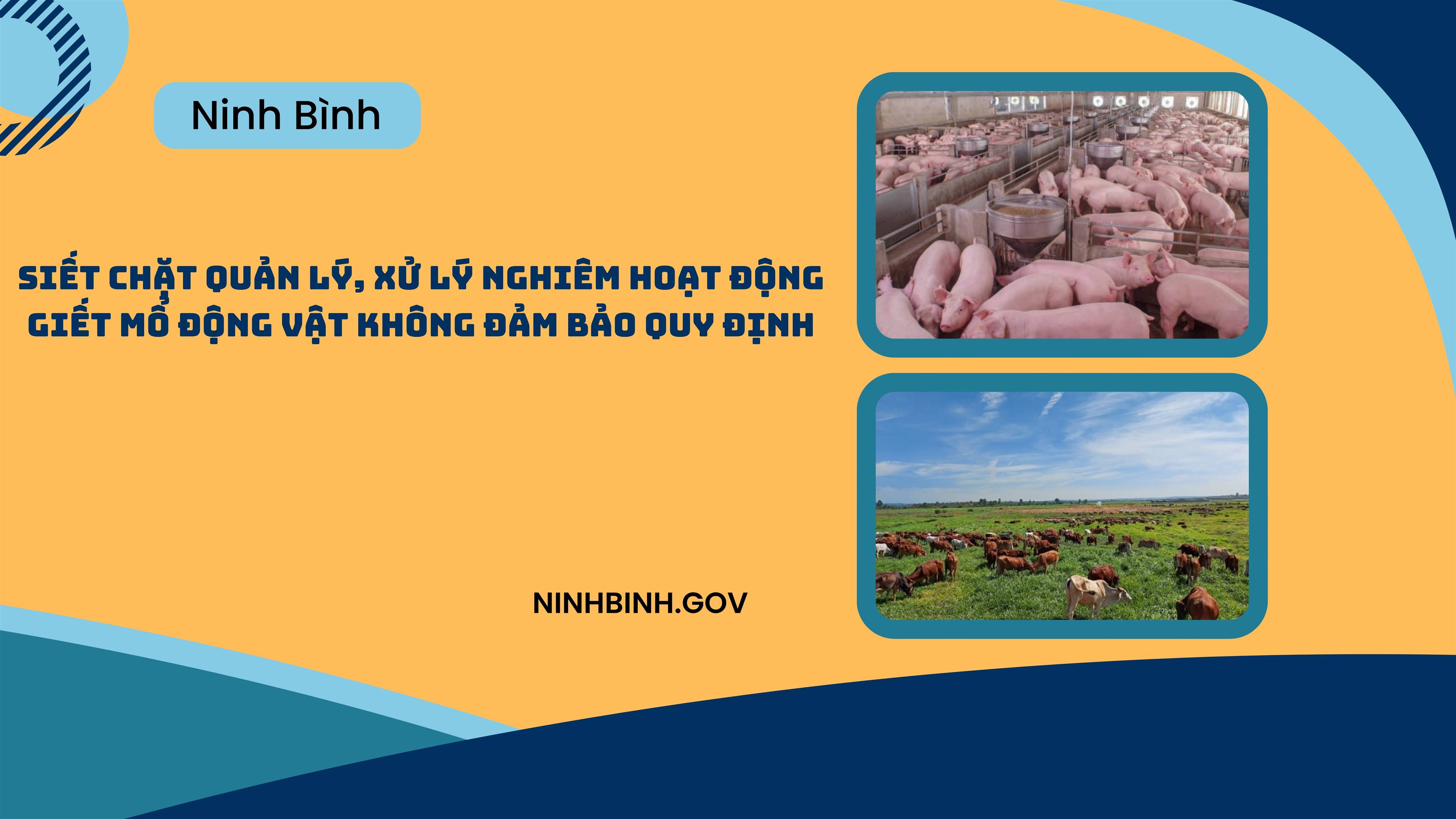 Ninh Bình: Siết chặt quản lý, xử lý nghiêm hoạt động giết mổ động vật không đảm bảo quy định