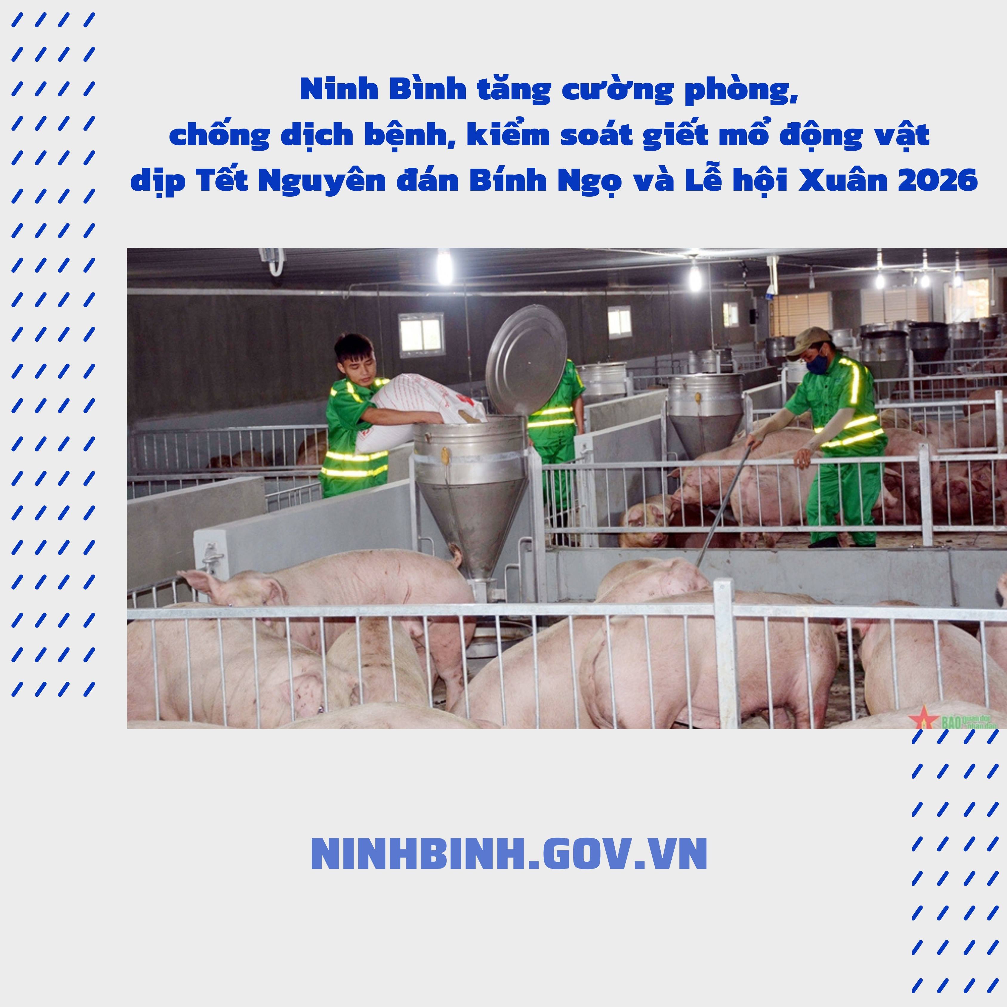 Ninh Bình tăng cường phòng, chống dịch bệnh, kiểm soát giết mổ động vật dịp Tết Nguyên đán Bính Ngọ và Lễ hội Xuân 2026