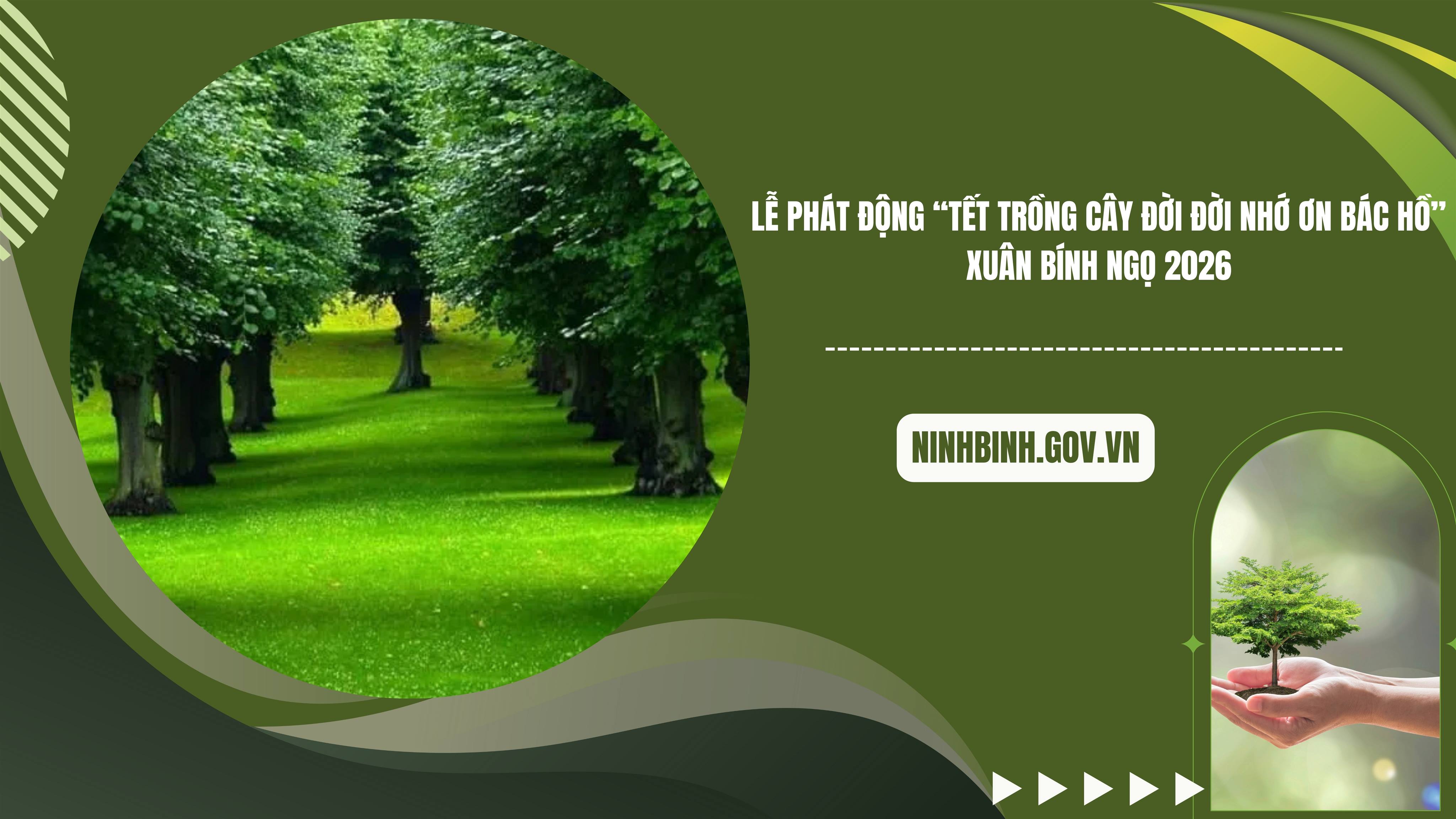 Xã Bình Sơn: Sẵn sàng cho Lễ phát động “Tết trồng cây đời đời nhớ ơn Bác Hồ” Xuân Bính Ngọ 2026