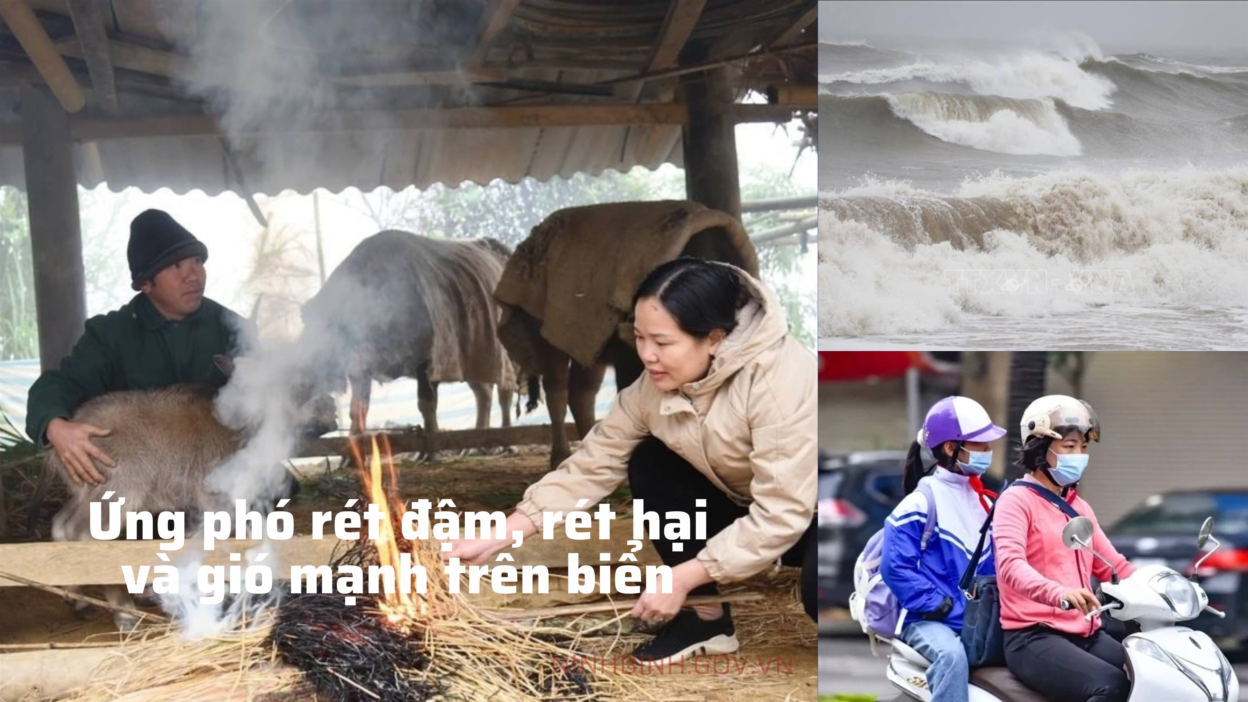 UBND tỉnh chỉ đạo chủ động ứng phó rét đậm, rét hại và gió mạnh trên biển