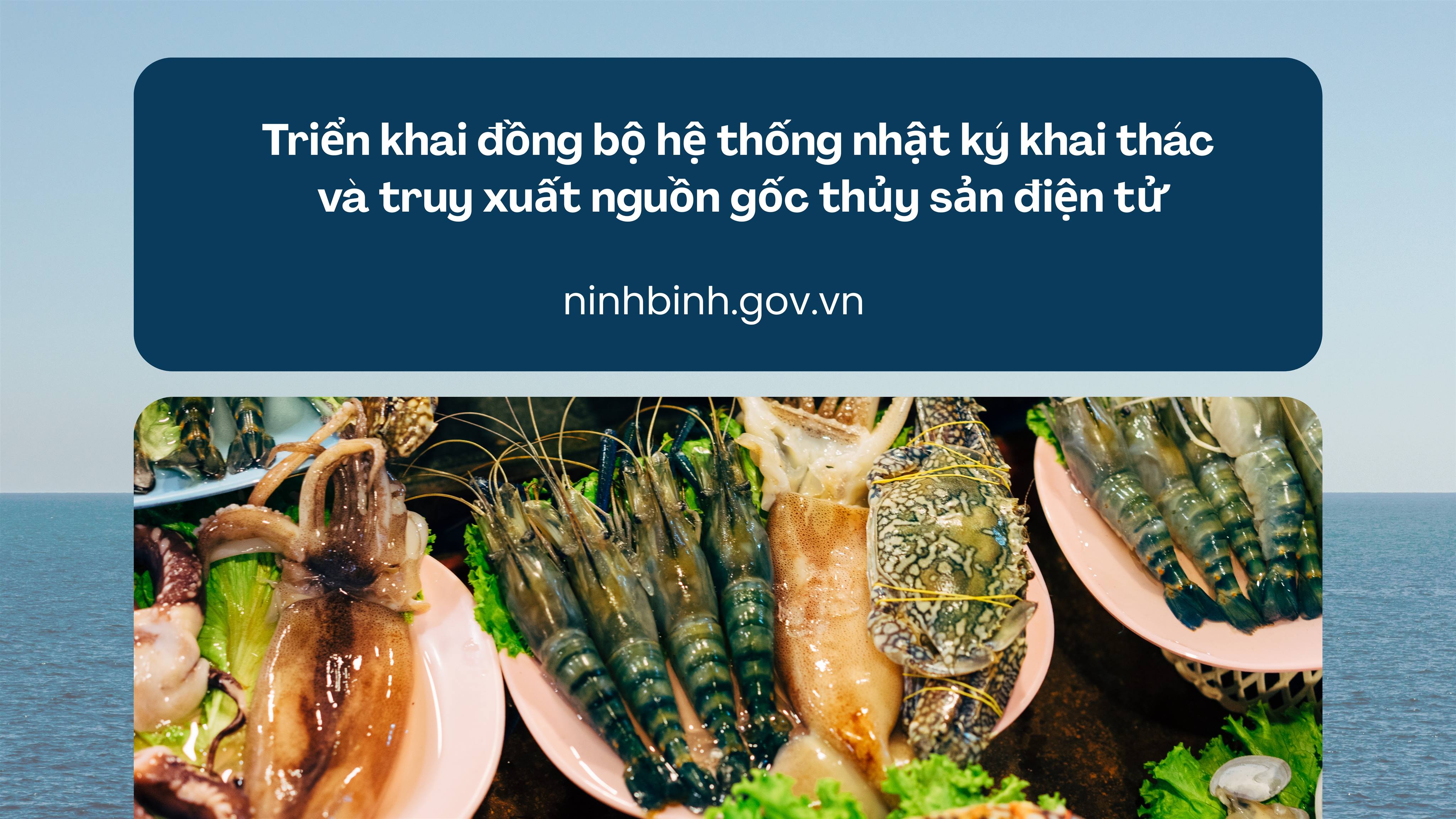 Triển khai đồng bộ hệ thống nhật ký khai thác và truy xuất nguồn gốc thủy sản điện tử