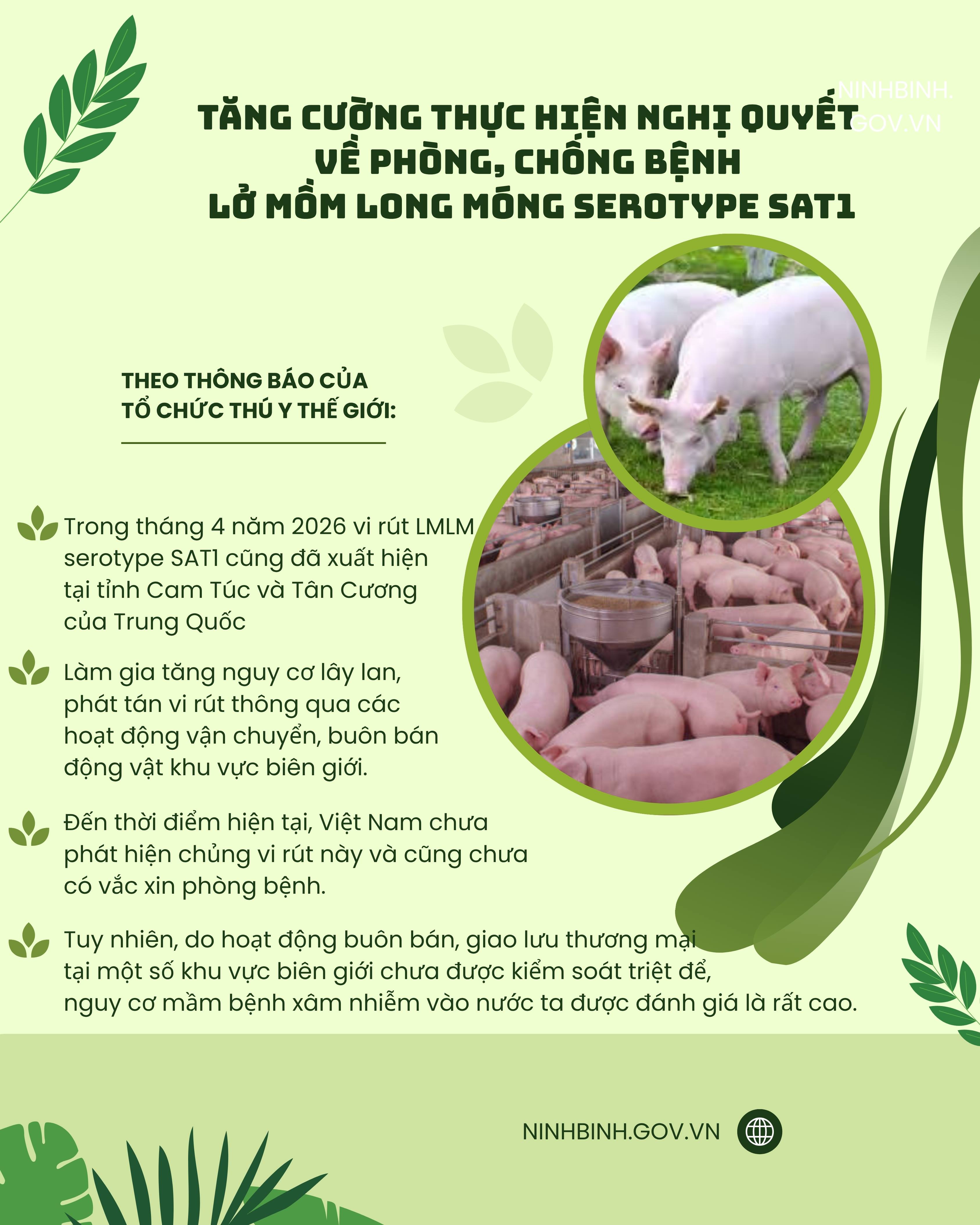 Tăng cường thực hiện nghị quyết về phòng, chống bệnh lở mồm long móng serotype sat1