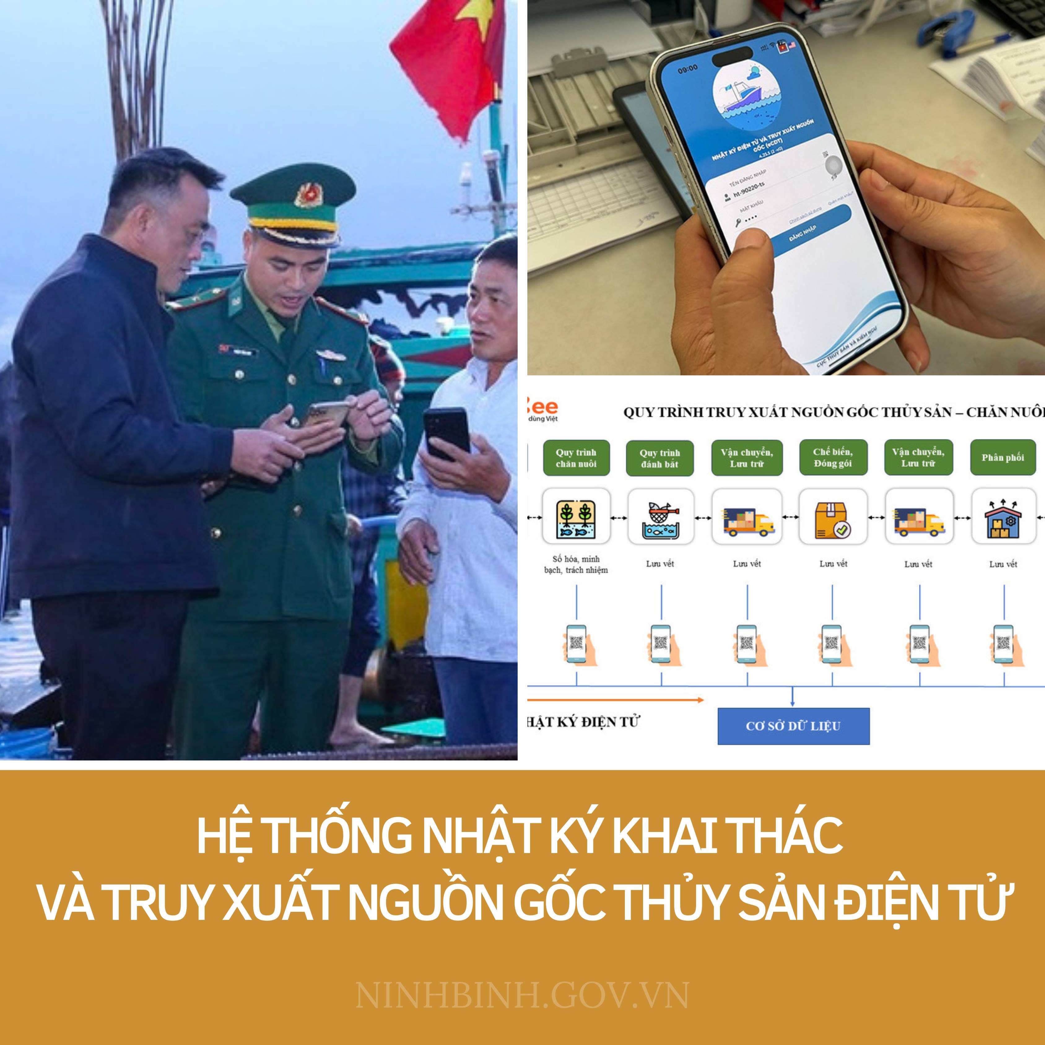 UBND tỉnh chỉ đạo triển khai hệ thống nhật ký khai thác và truy xuất nguồn gốc thủy sản điện tử