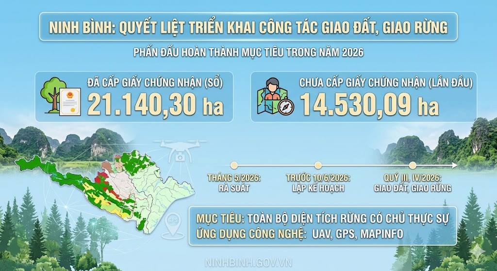 Quyết liệt triển khai công tác giao đất, giao rừng, phấn đấu hoàn thành mục tiêu trong năm 2026