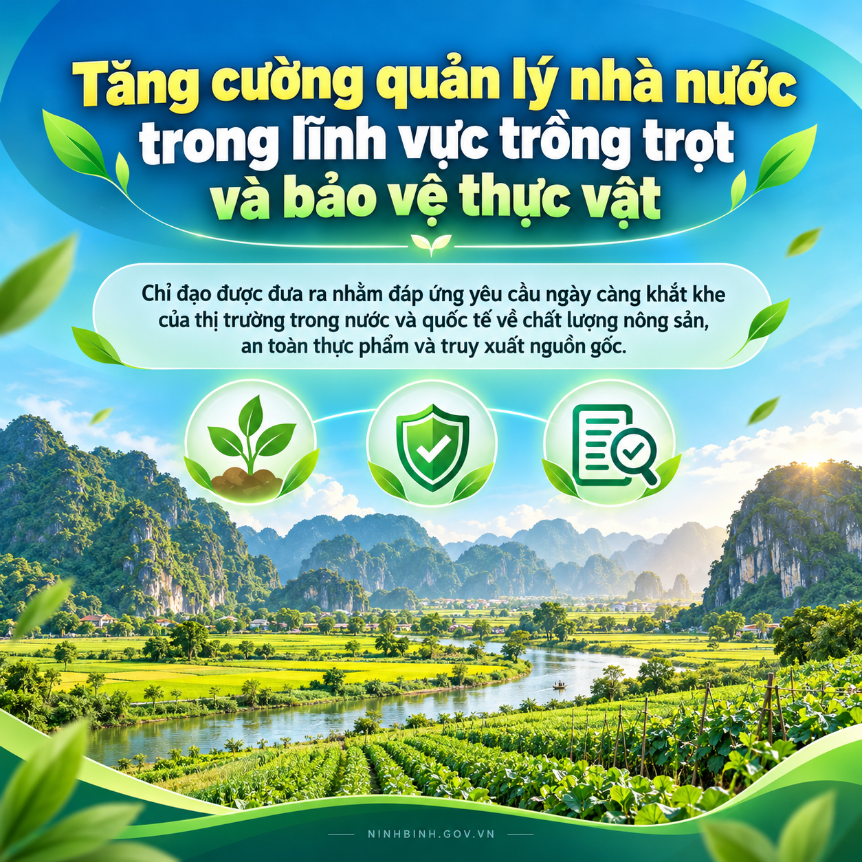 Tăng cường quản lý lĩnh vực trồng trọt và bảo vệ thực vật