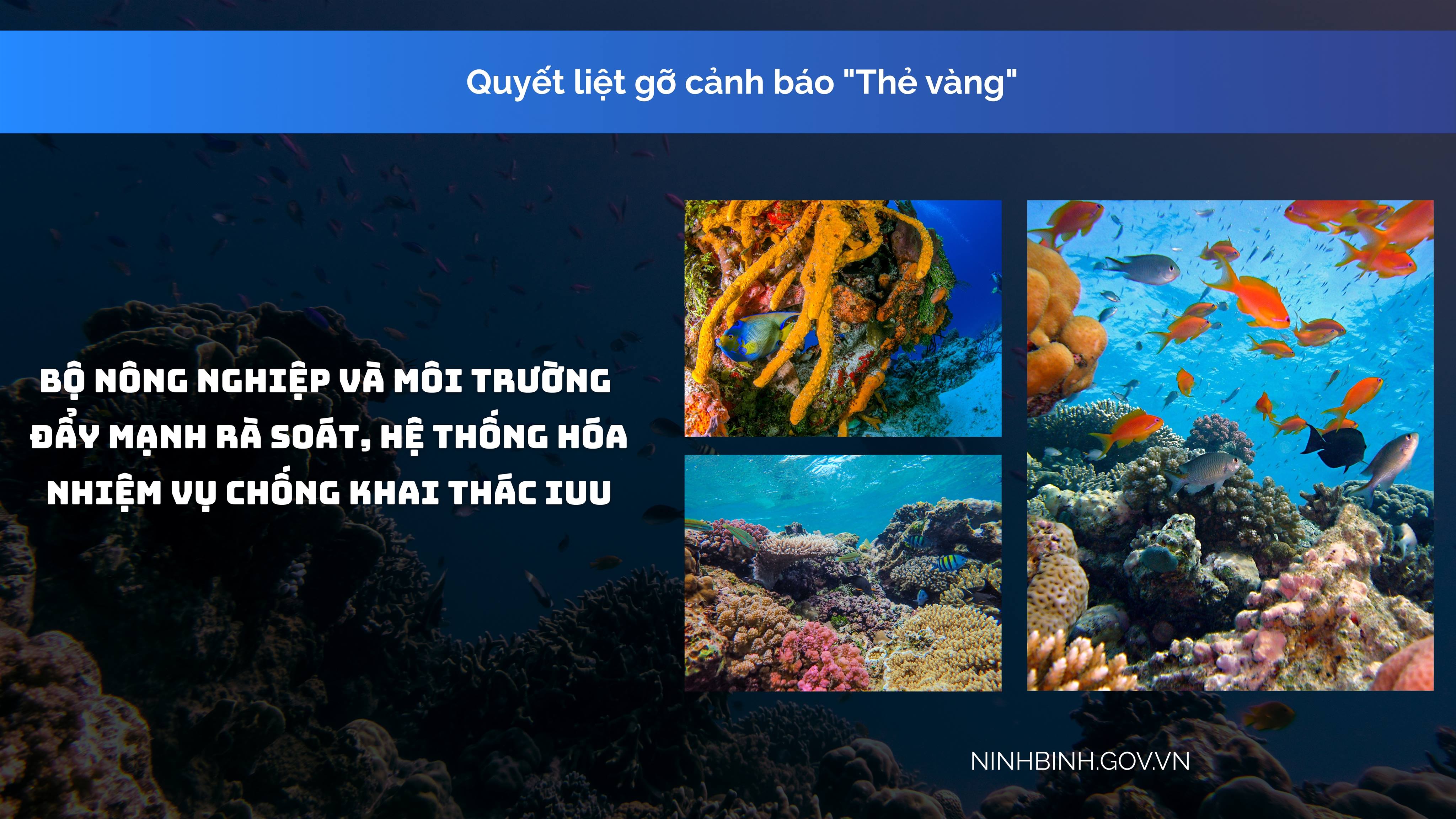  Quyết liệt gỡ cảnh báo "Thẻ vàng": Bộ Nông nghiệp và Môi trường đẩy mạnh rà soát, hệ thống hóa nhiệm vụ chống khai thác IUU