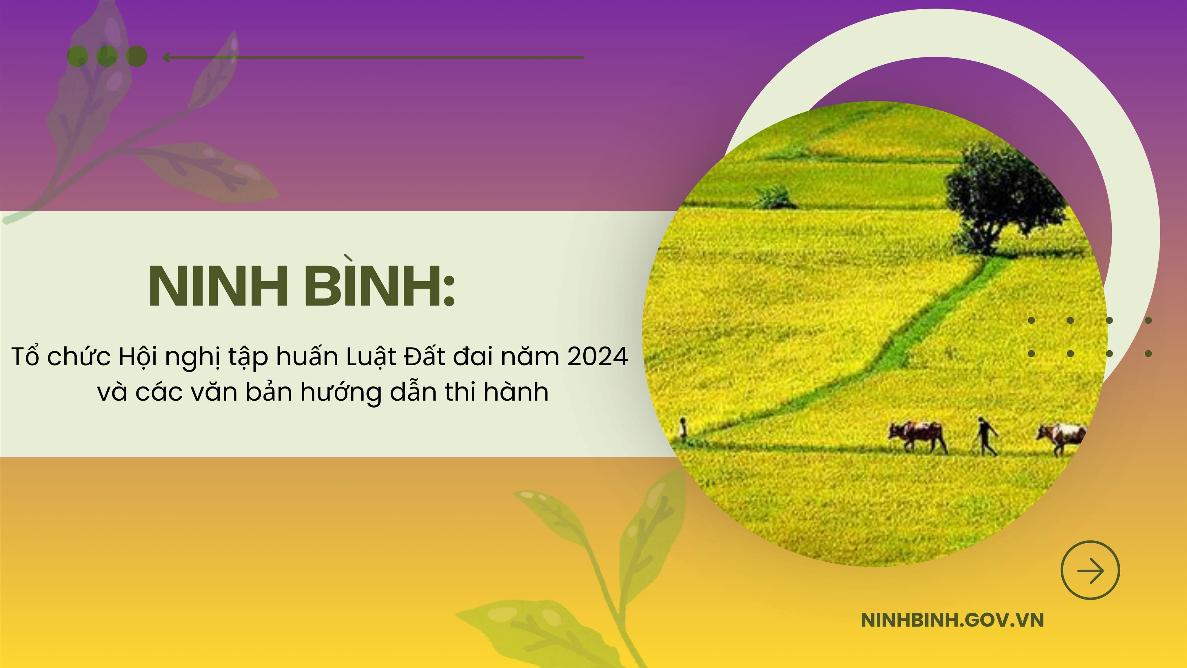 Ninh Bình: Dự kiến tổ chức Hội nghị tập huấn Luật Đất đai năm 2024 và các văn bản hướng dẫn thi hành