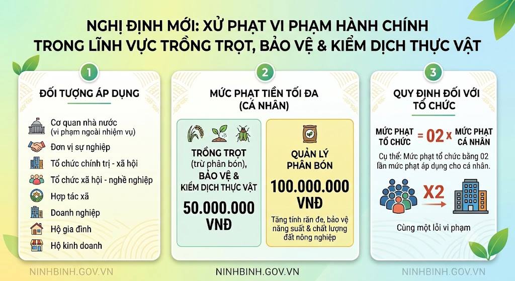 Chính phủ ban hành nghị định mới về xử phạt vi phạm hành chính trong lĩnh vực trồng trọt, bảo vệ và kiểm dịch thực vật