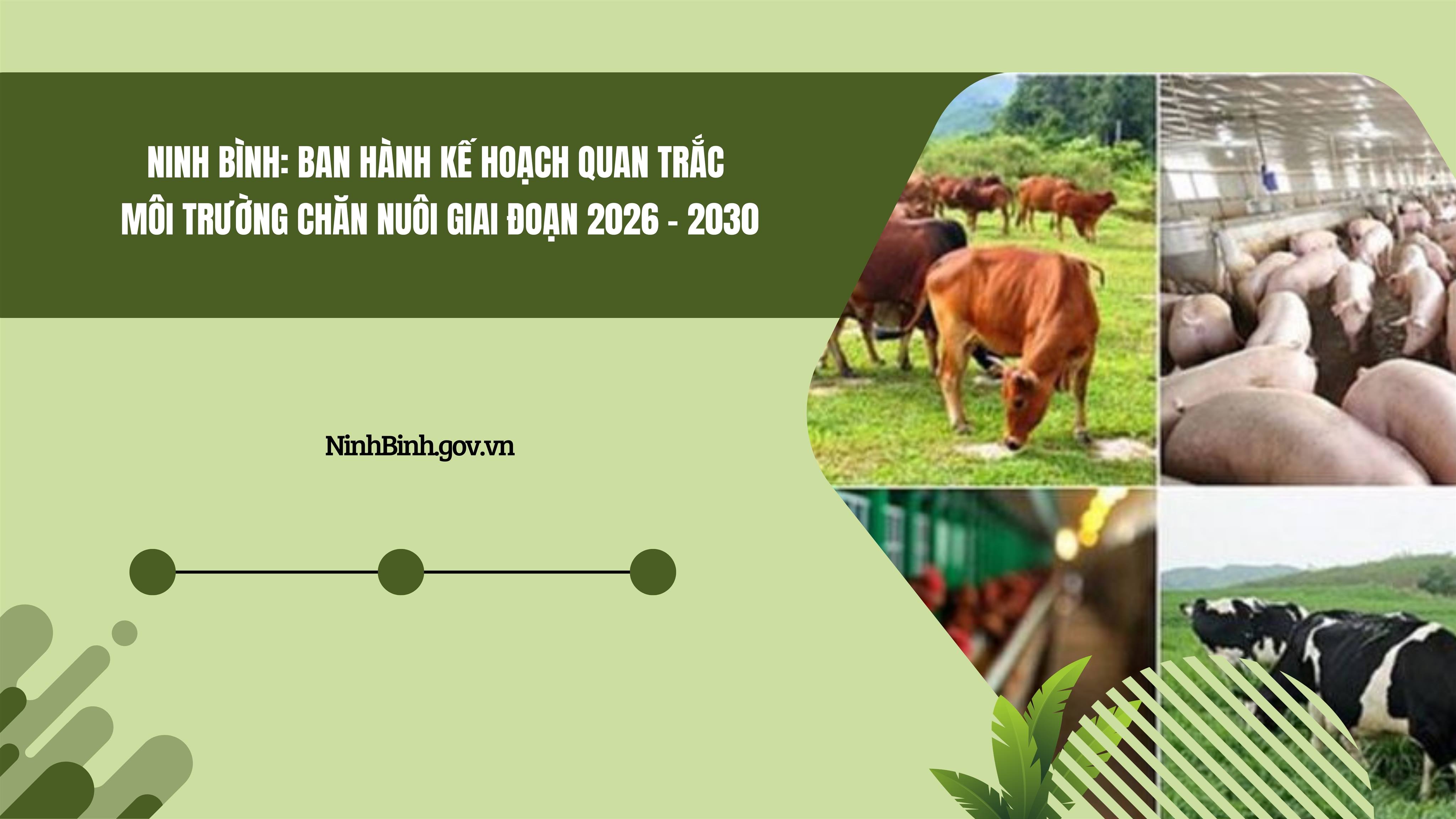 Ninh Bình: Ban hành kế hoạch quan trắc môi trường chăn nuôi giai đoạn 2026 - 2030