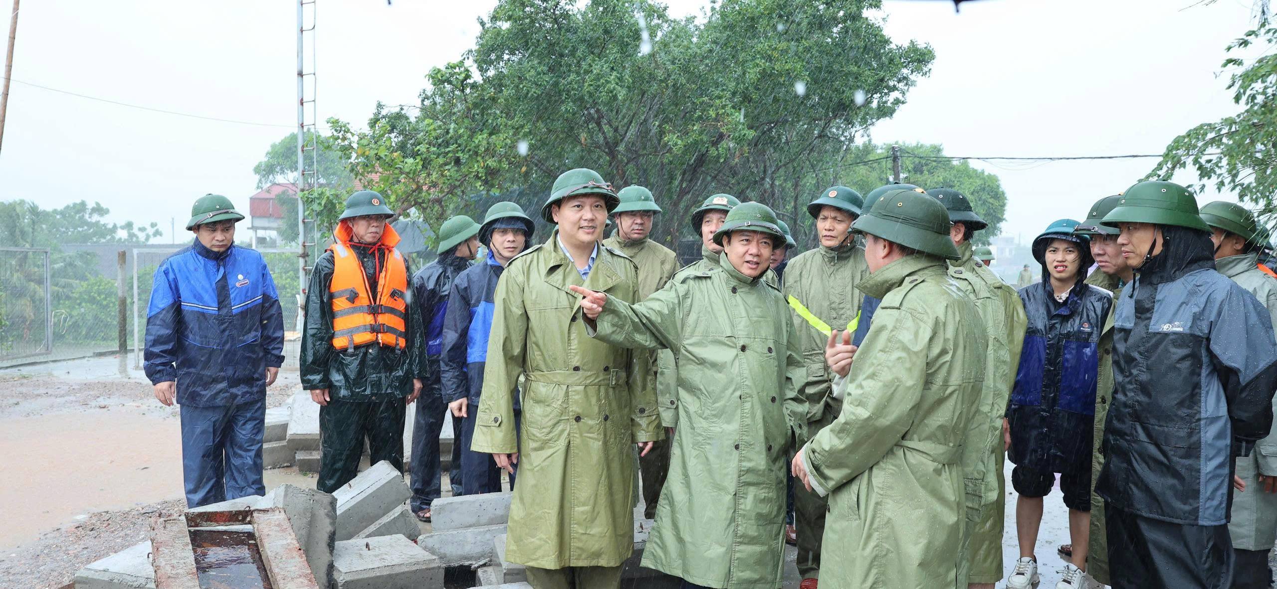 anh tin bai