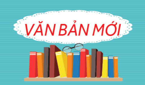 UBND tỉnh chỉ đạo triển khai thực hiện Nghị quyết số 53/NQ-HĐND ngày 28/7/2026 của Hội đồng nhân dân tỉnh Ninh Bình
