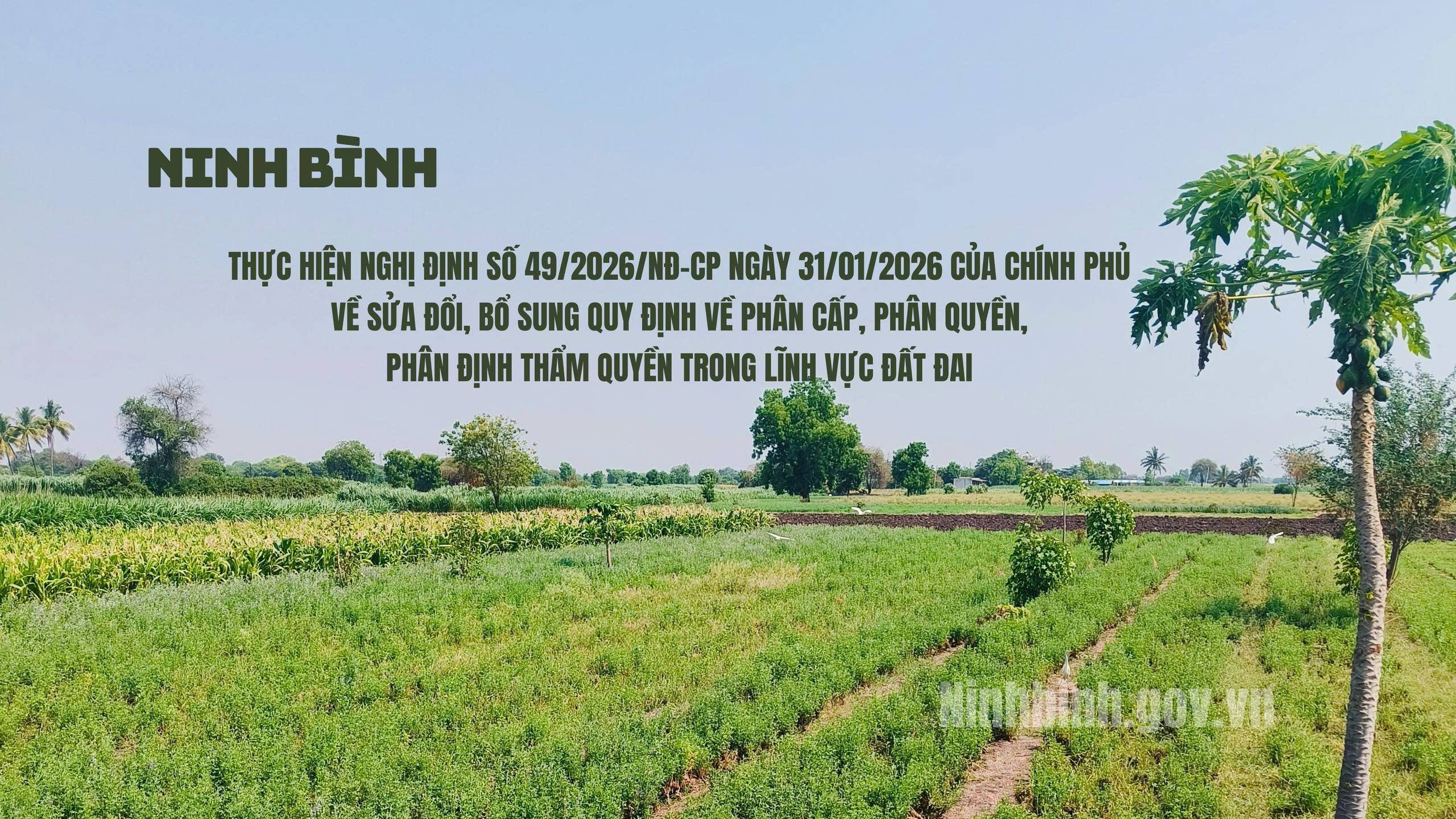 Thực hiện Nghị định số 49/2026/NĐ-CP ngày 31/01/2026 của Chính phủ về sửa đổi, bổ sung quy định về phân cấp, phân quyền, phân định thẩm quyền trong lĩnh vực đất đai